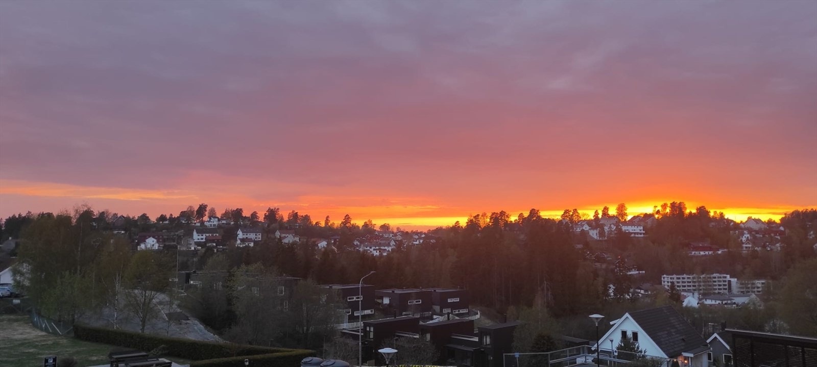 Bilde tatt av selger. Galleribilde