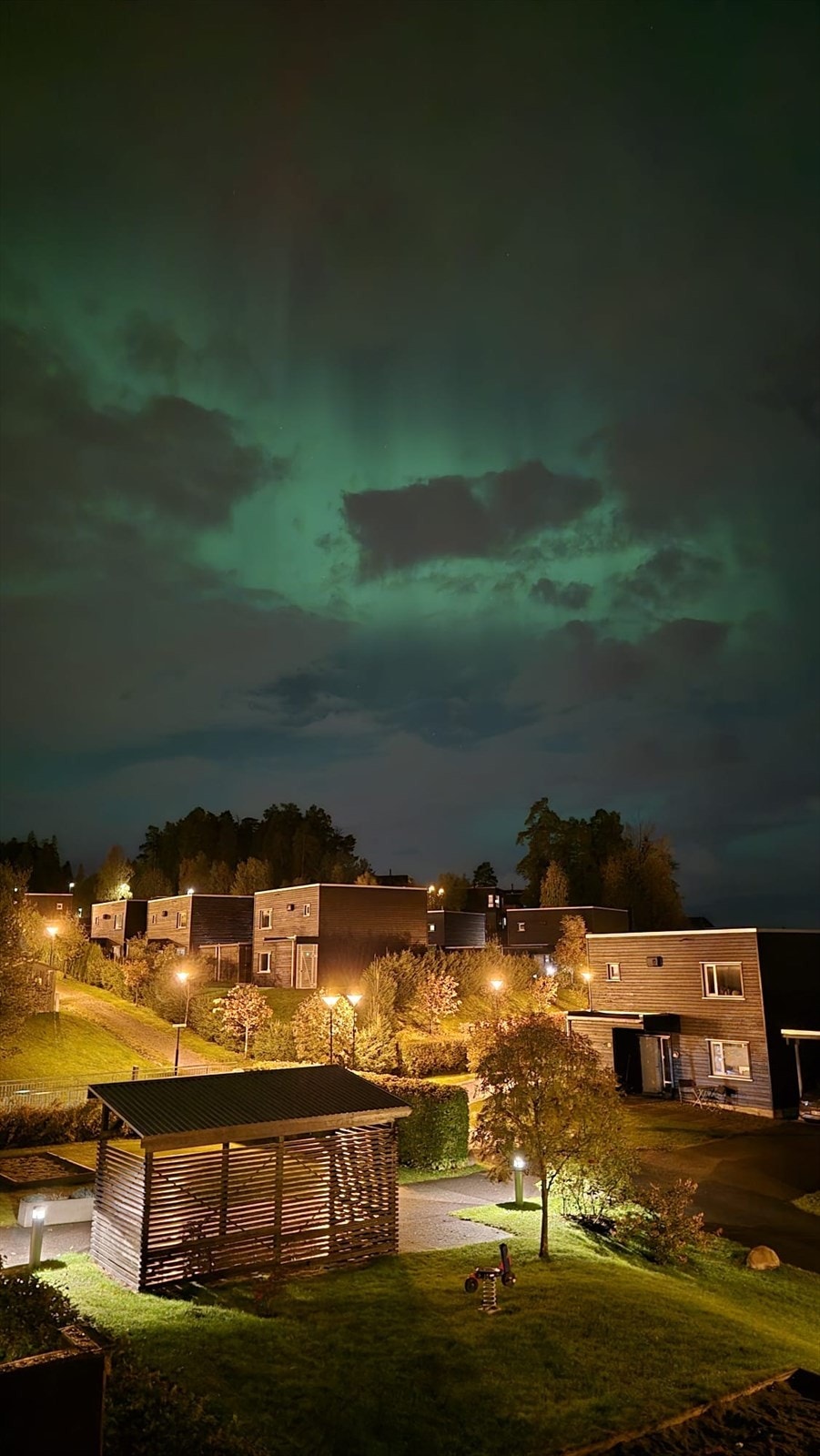 Bilde tatt av selger. Galleribilde