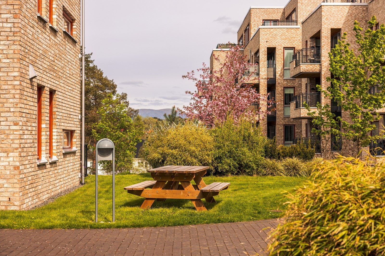 Hyggelig uteområdet som kan benyttes av beboerne i sameiet. Galleribilde