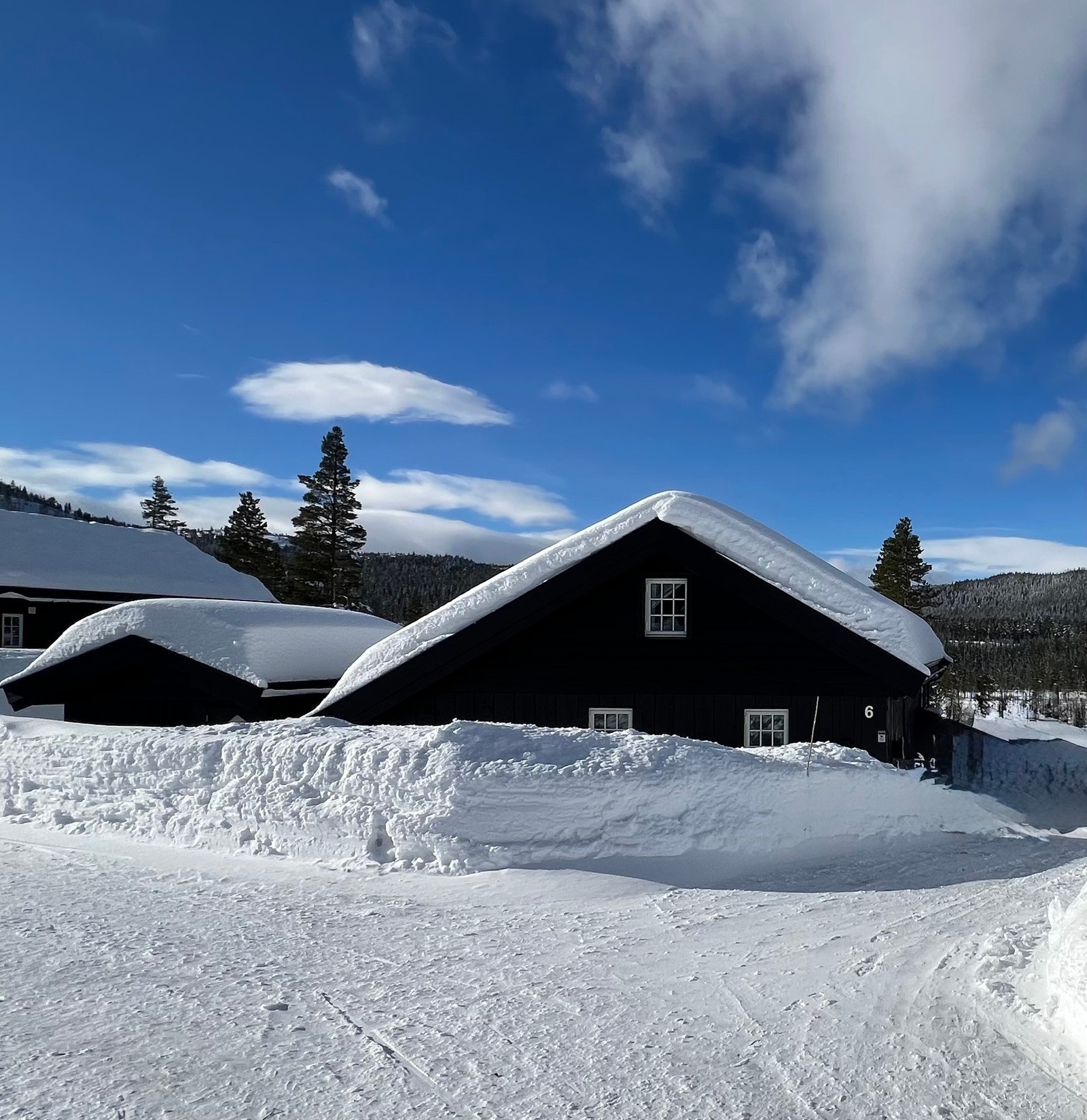 Vinter på Nesfjellet.
Selgers eget bilde. Galleribilde