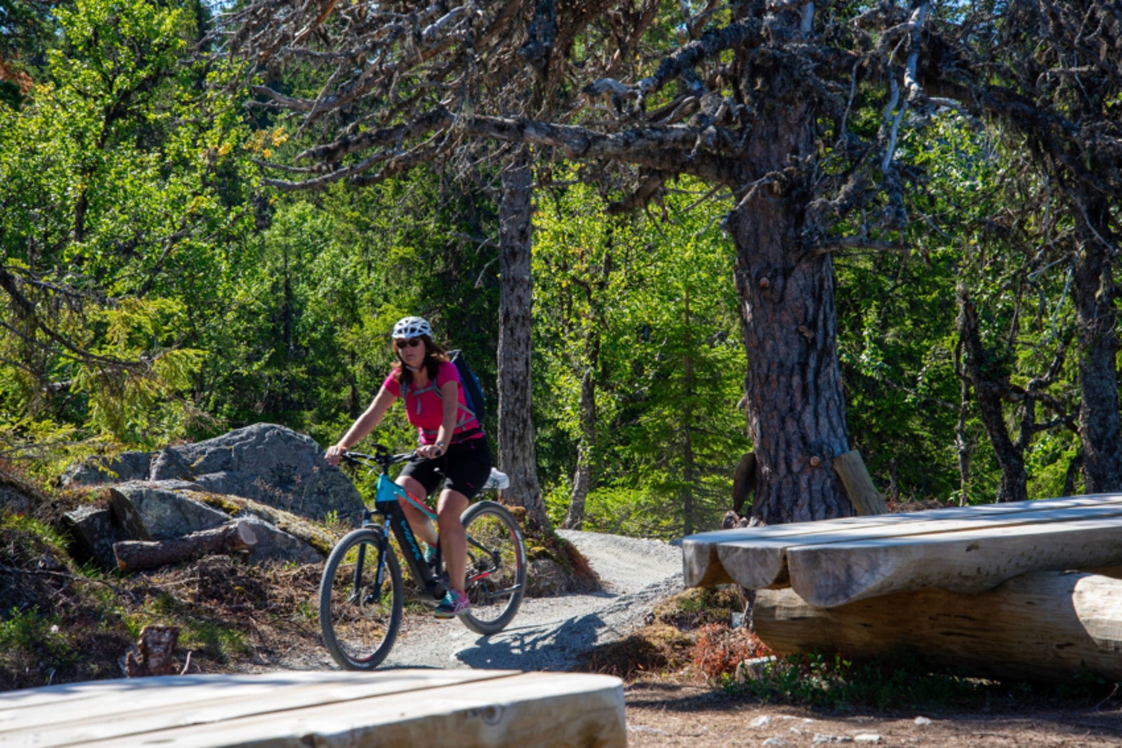 Mange flotte sykkelstier. Galleribilde