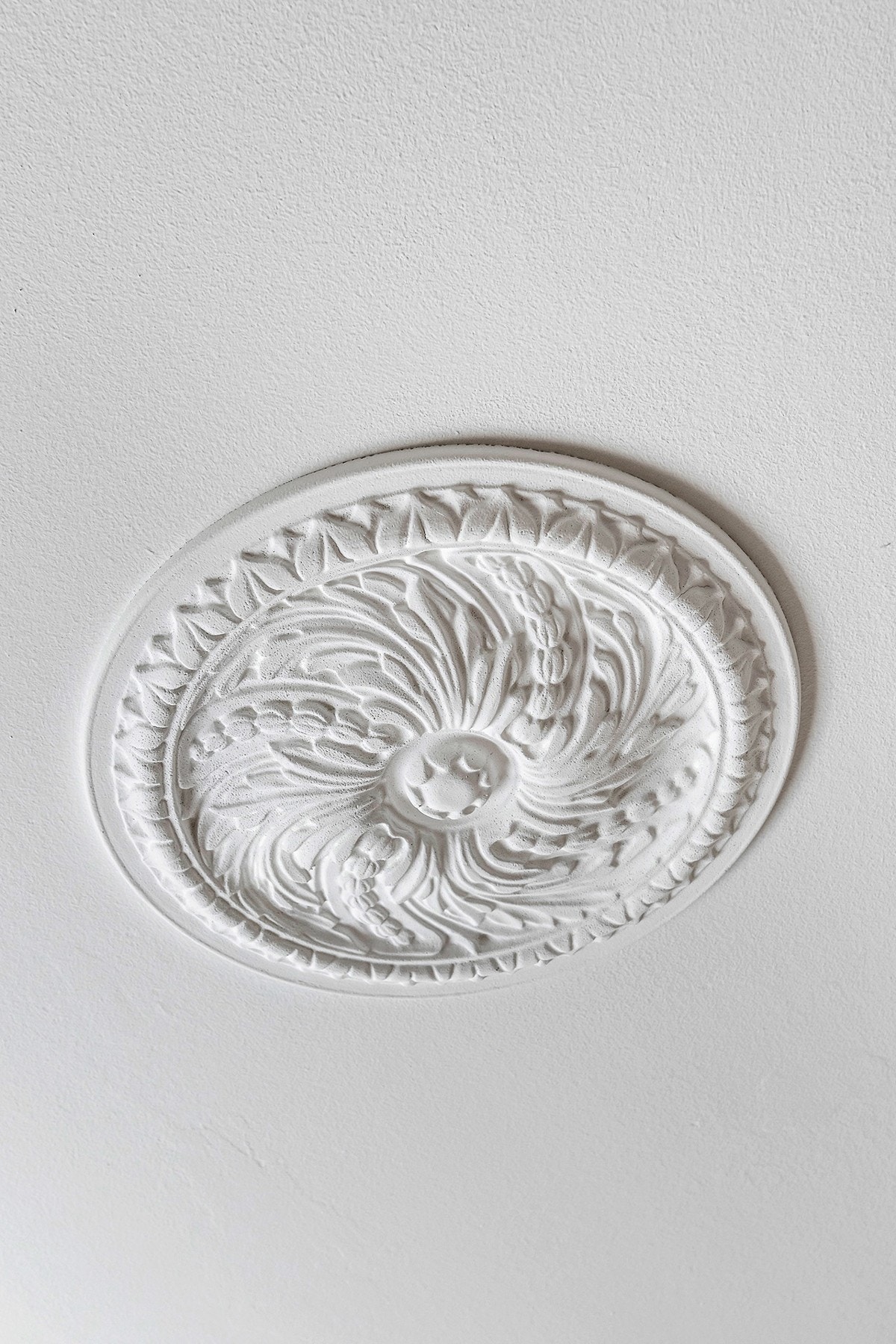 Takrosett som gir leiligheten ett klassisk preg. Galleribilde