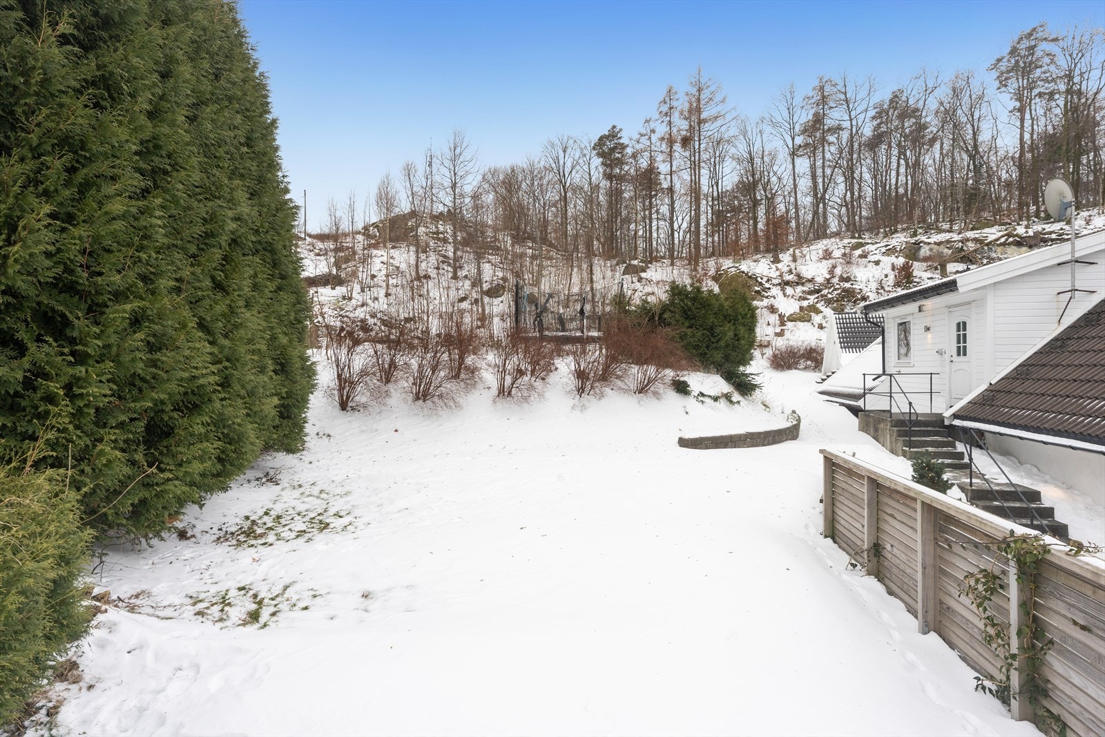 Romslig hage med plen Galleribilde