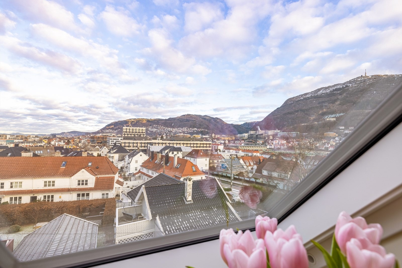 - W Eiendomsmegling Bergen - Galleribilde