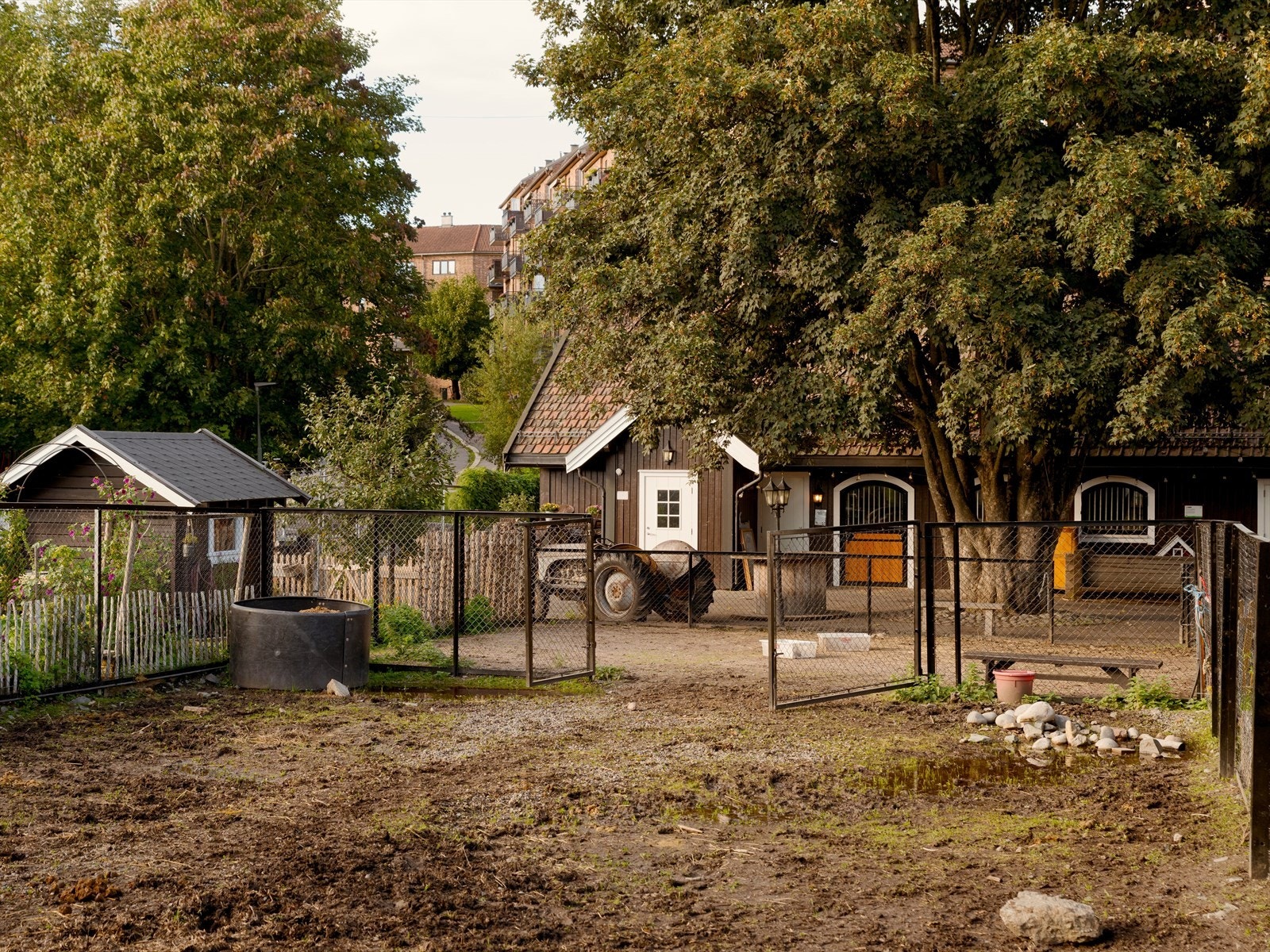 Kampen Økologiske Barnebondegård holder til ved Kampen skole og T-banestasjonen på Ensjø. De har små og store dyr, og tar imot barn og voksne for å lære om husdyr, gårdsliv og grønnsaker. Galleribilde