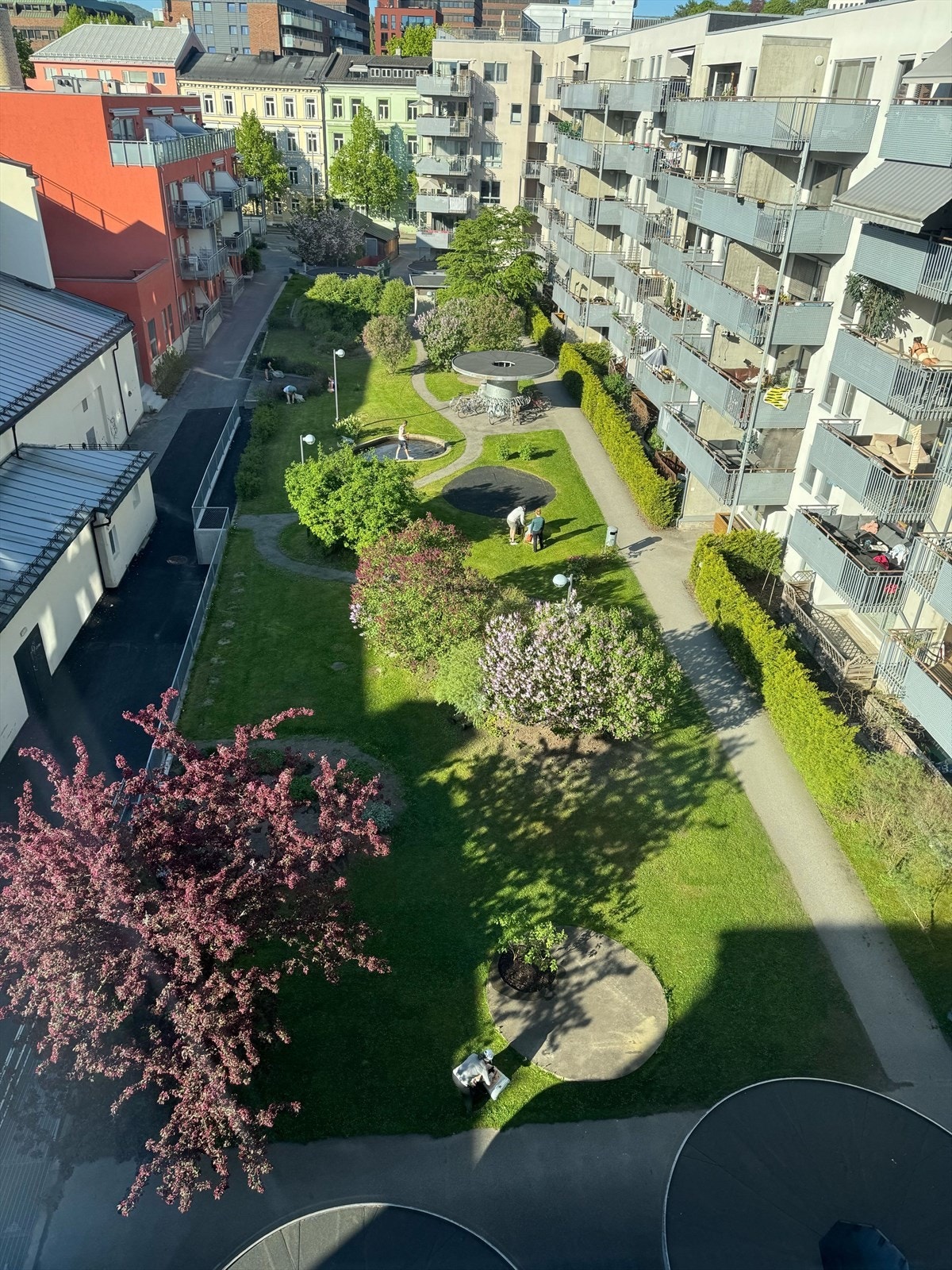 Selgers bilde - På sommerstid er bakgården frodig og grønn. Galleribilde