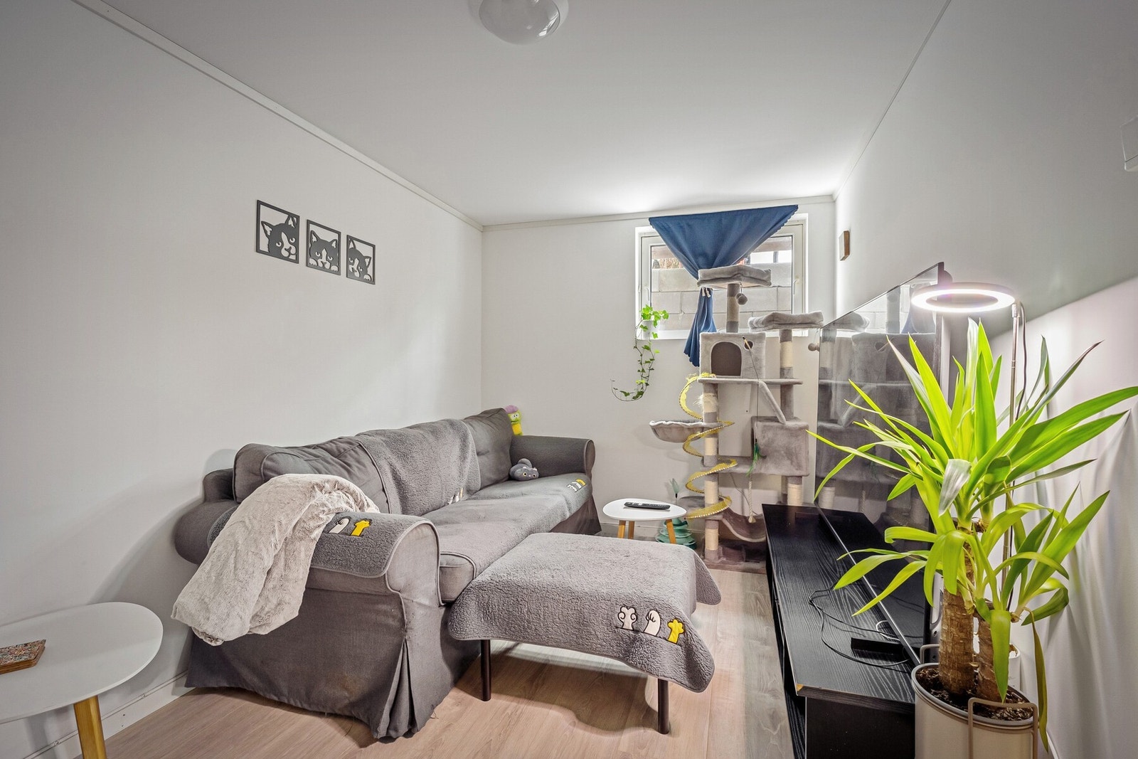 Stuen i utleiedelen er lys og trivelig med gode møbleringsmuligheter for sofagruppe og TV-løsning. Galleribilde