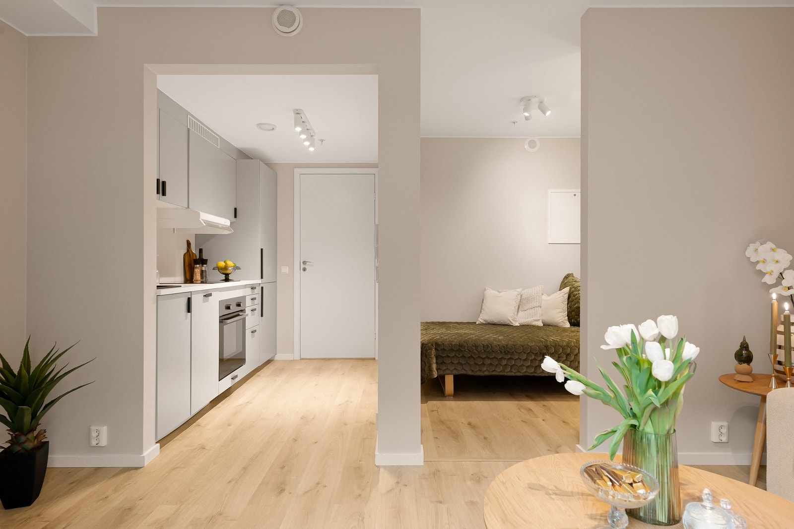 Arealeffektiv leilighet på 29 kvm med moderne standard. Galleribilde