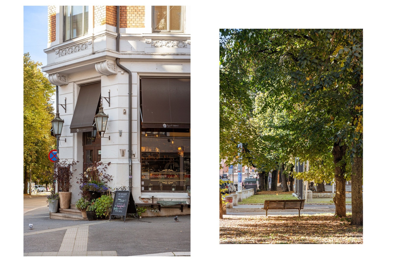 Kaféer, restauranter og populære handlegater som Thereses gate og Bogstadveien i gangavstand fra leiligheten. Galleribilde