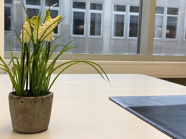 Kontor - House of Business Galleribilde