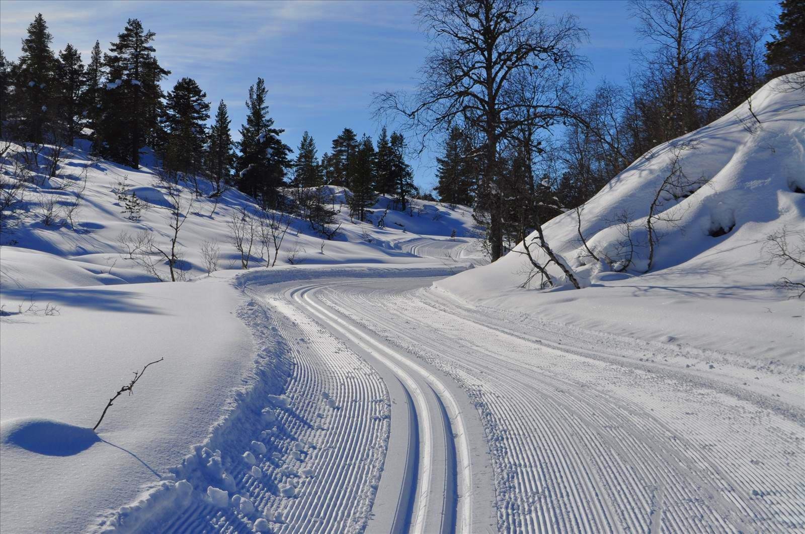 Velkommen innover oppkjørte løyper Galleribilde