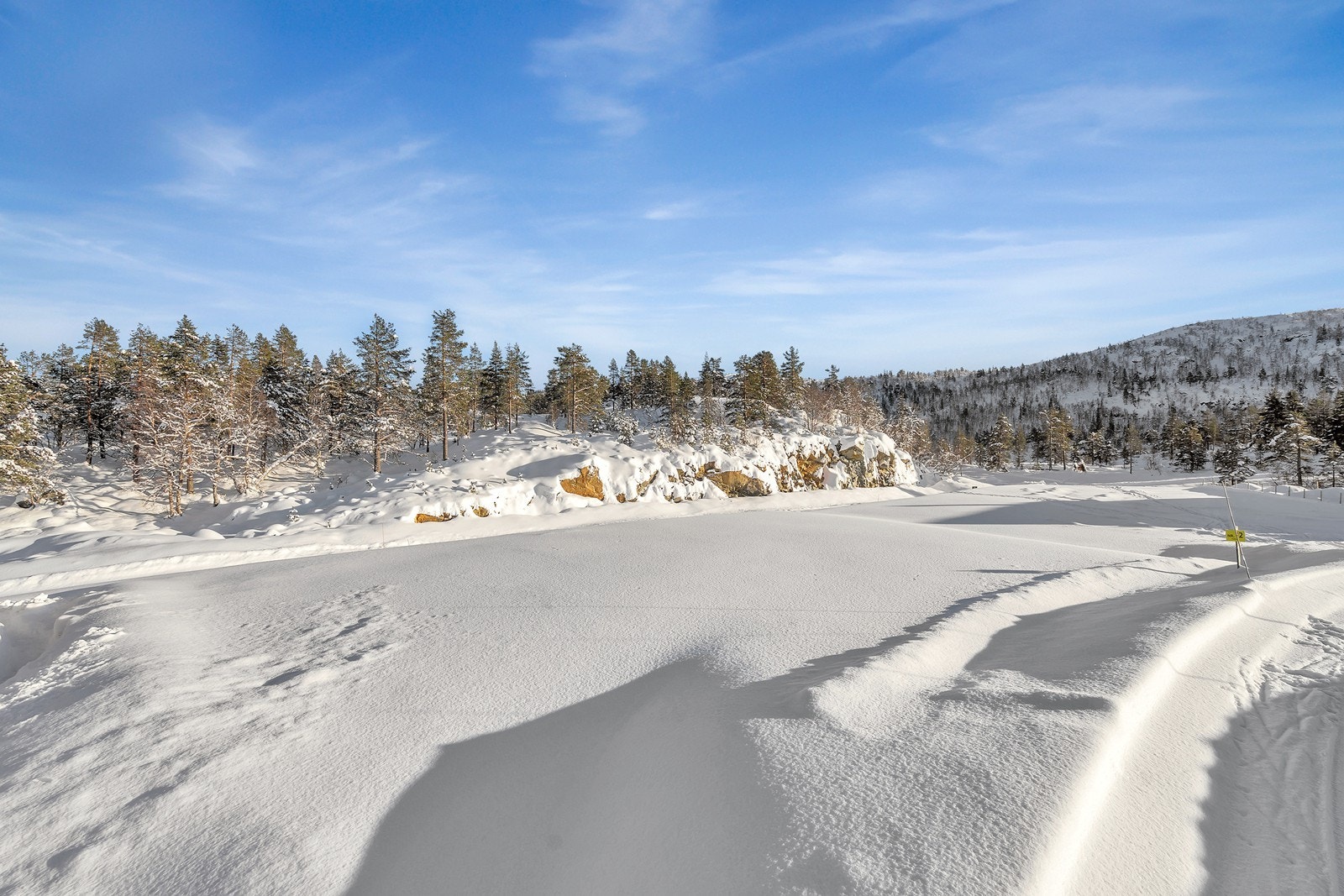 Tomtene er merket med tomtenummer Galleribilde