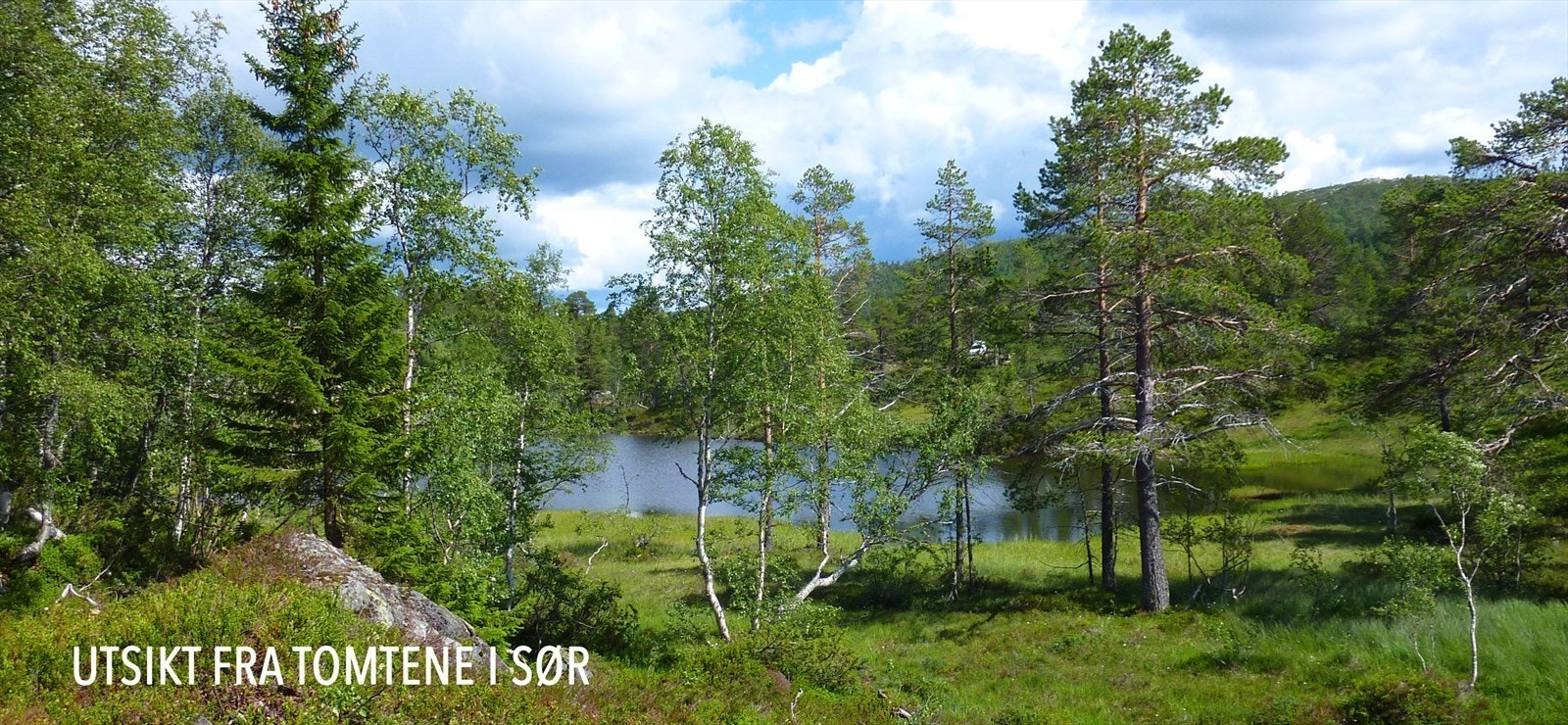 Sommerstid Galleribilde