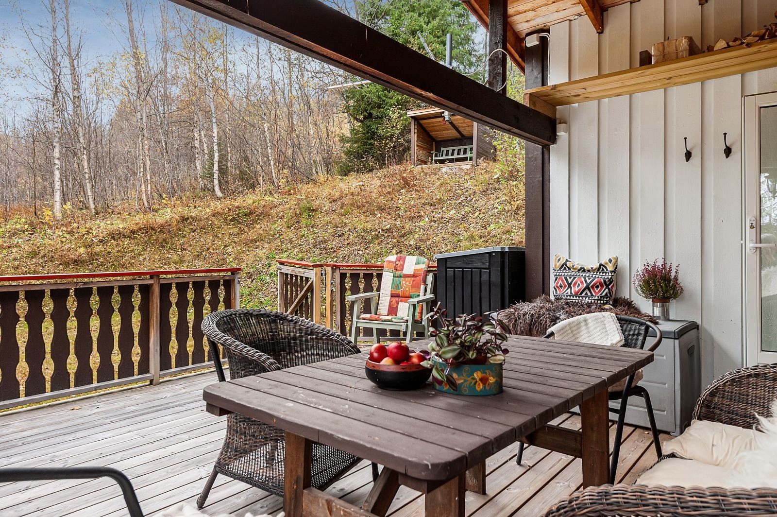 Flott bakhage med oppsatt gapahuk i skråningen fra 2014. Galleribilde