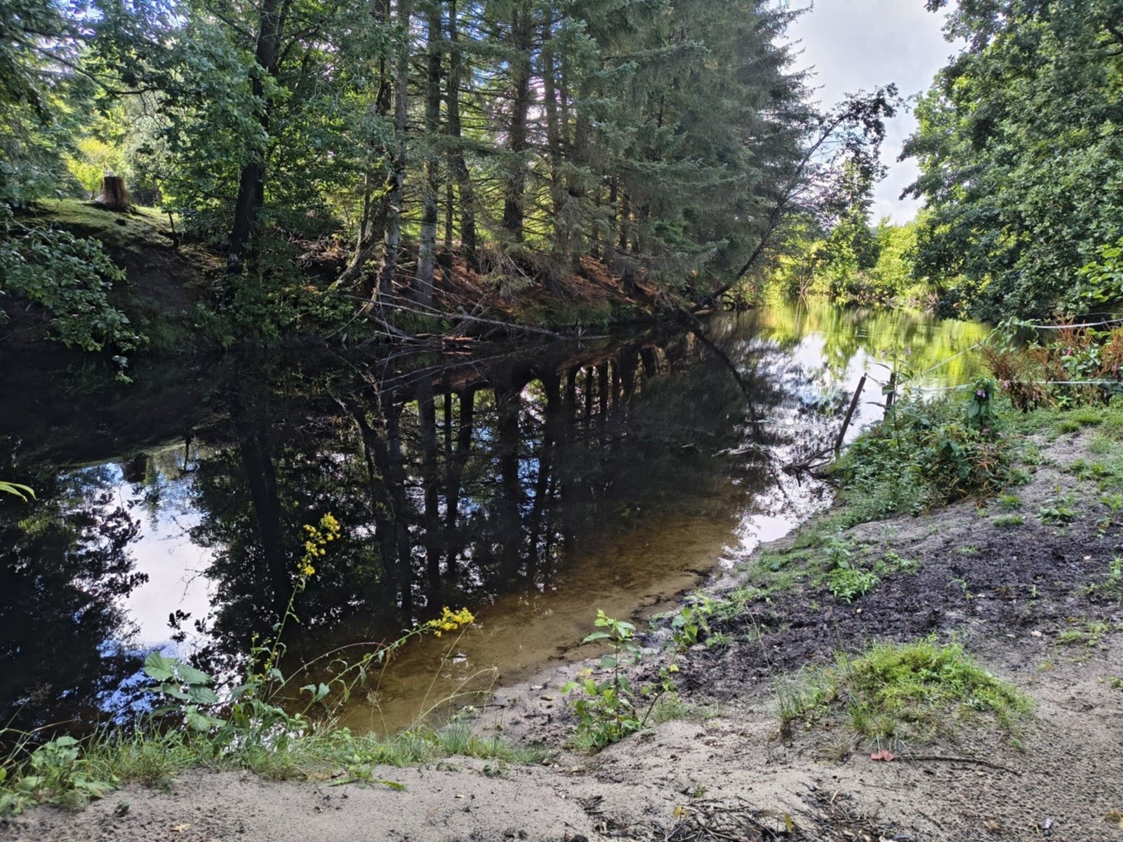 Søgneelva Galleribilde