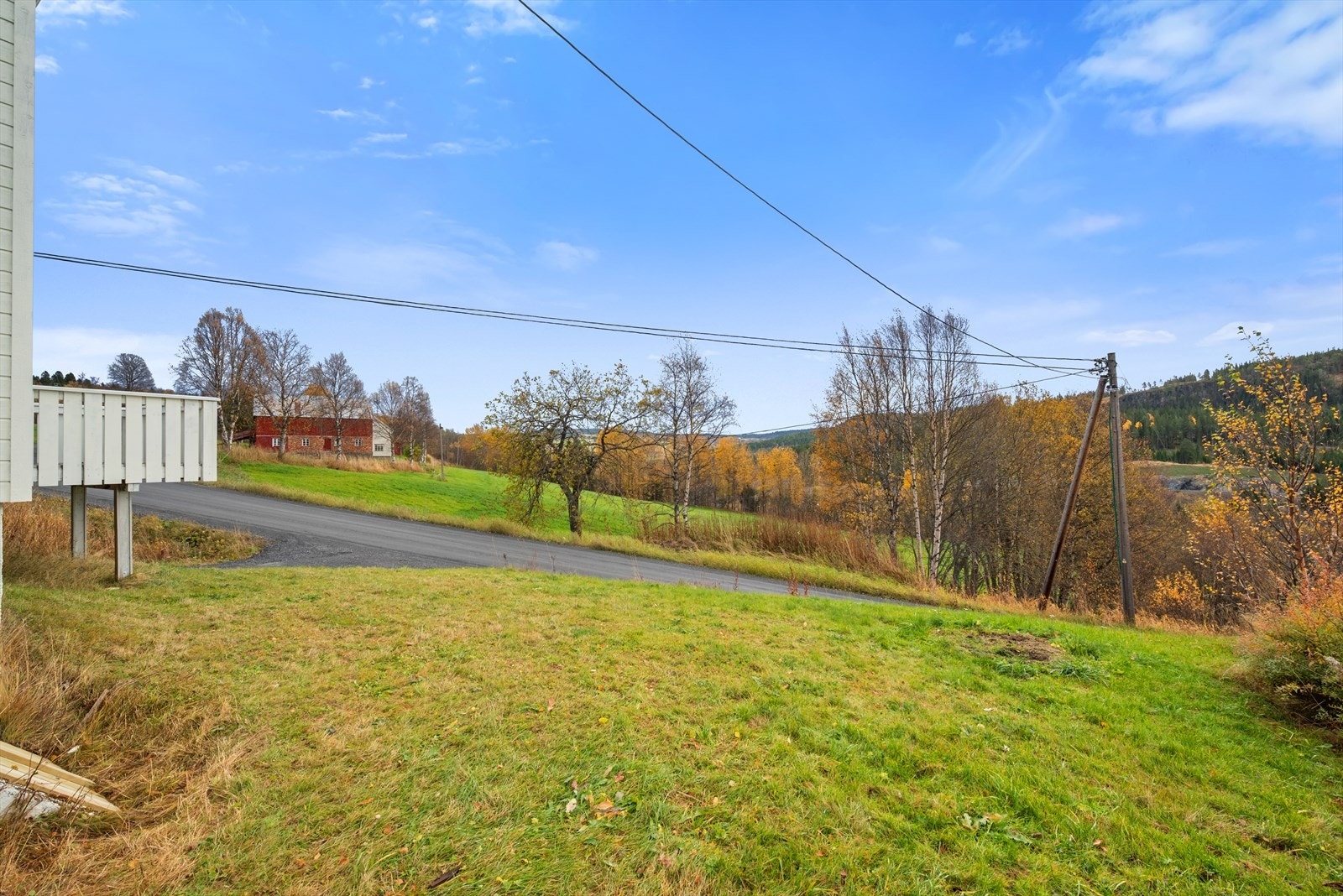 Sommerbilde fra eiendommen. Galleribilde