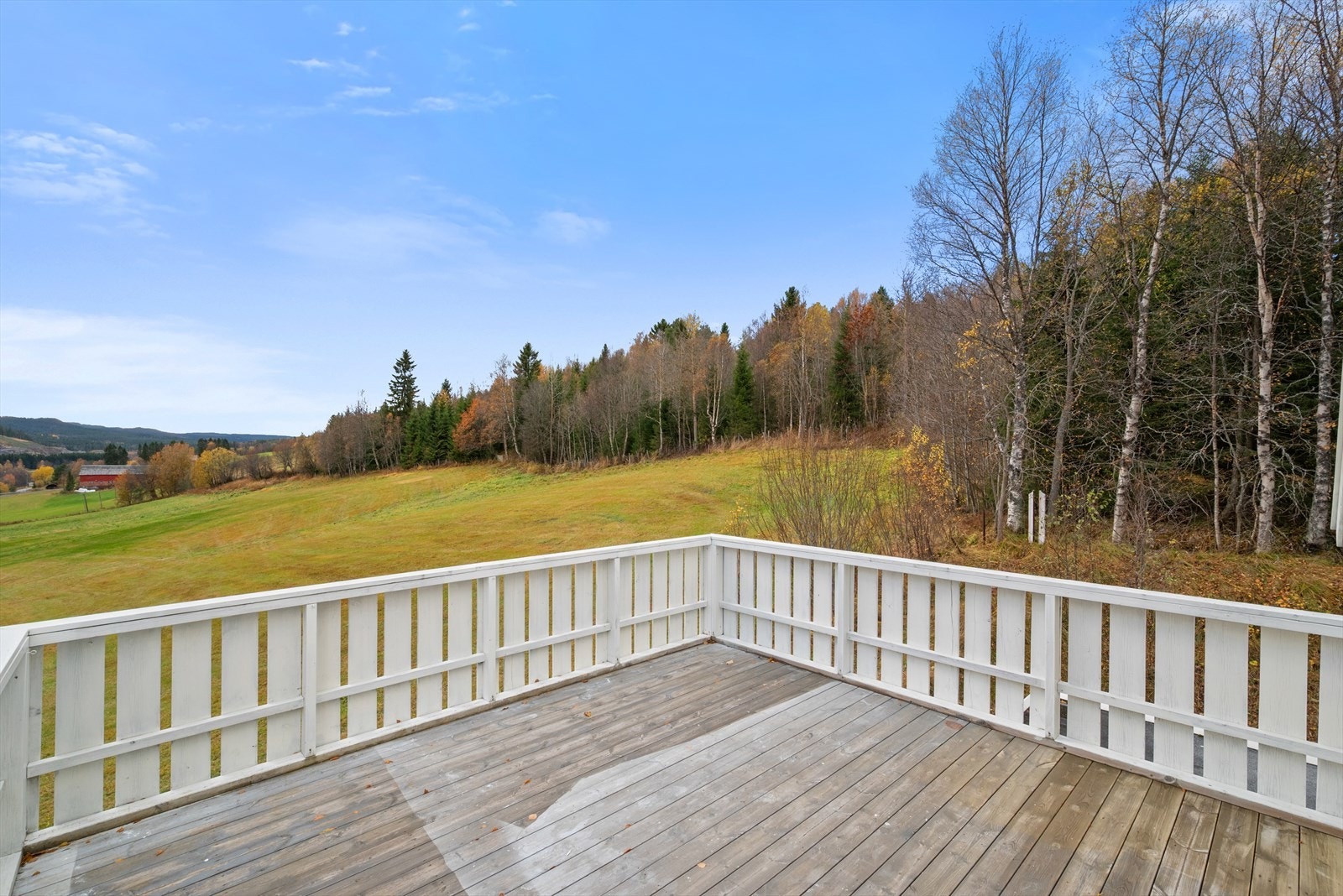 Sommerbilde fra eiendommen. Galleribilde