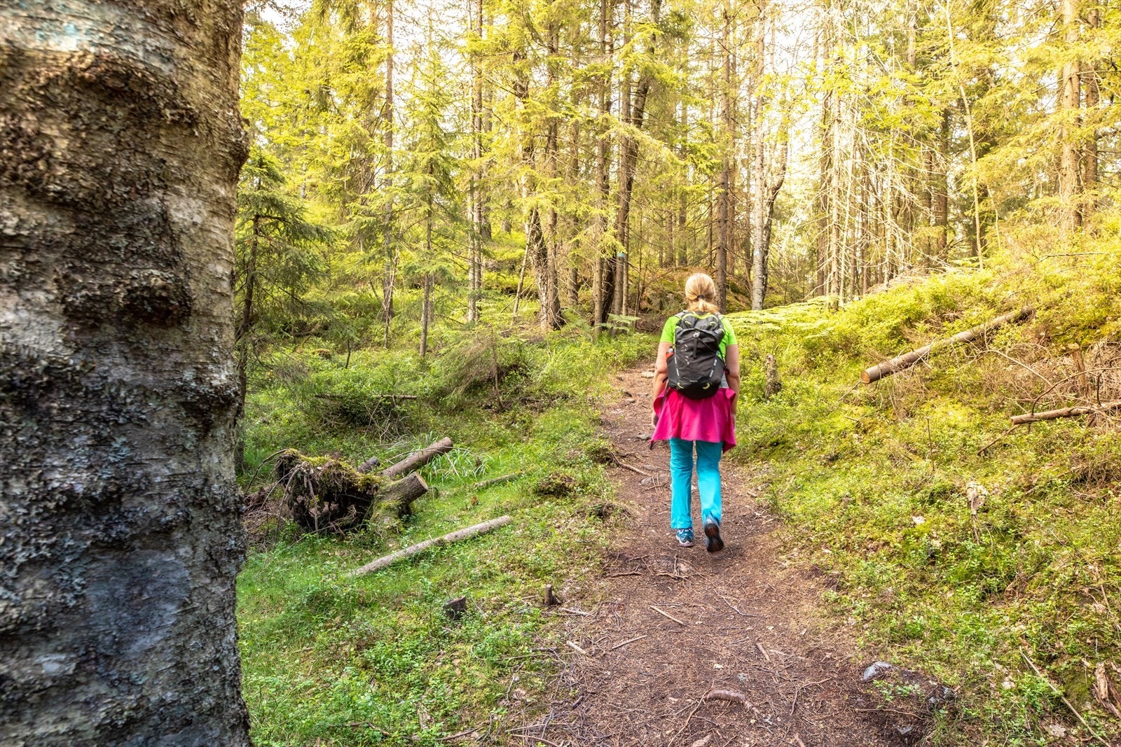 Fine turområder for hele familien. Galleribilde
