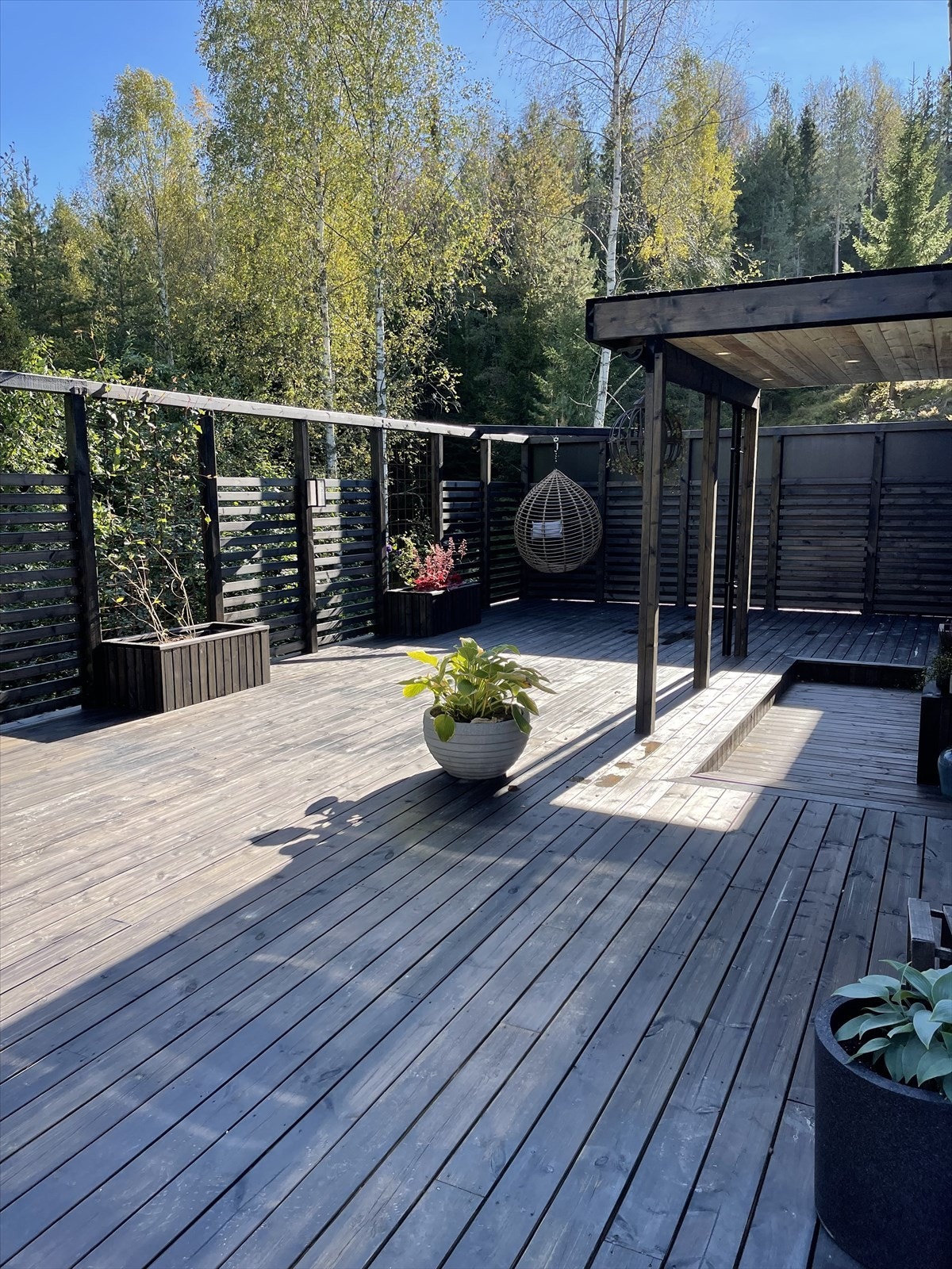 Utebilder fra sommeren, tatt av selger. Galleribilde