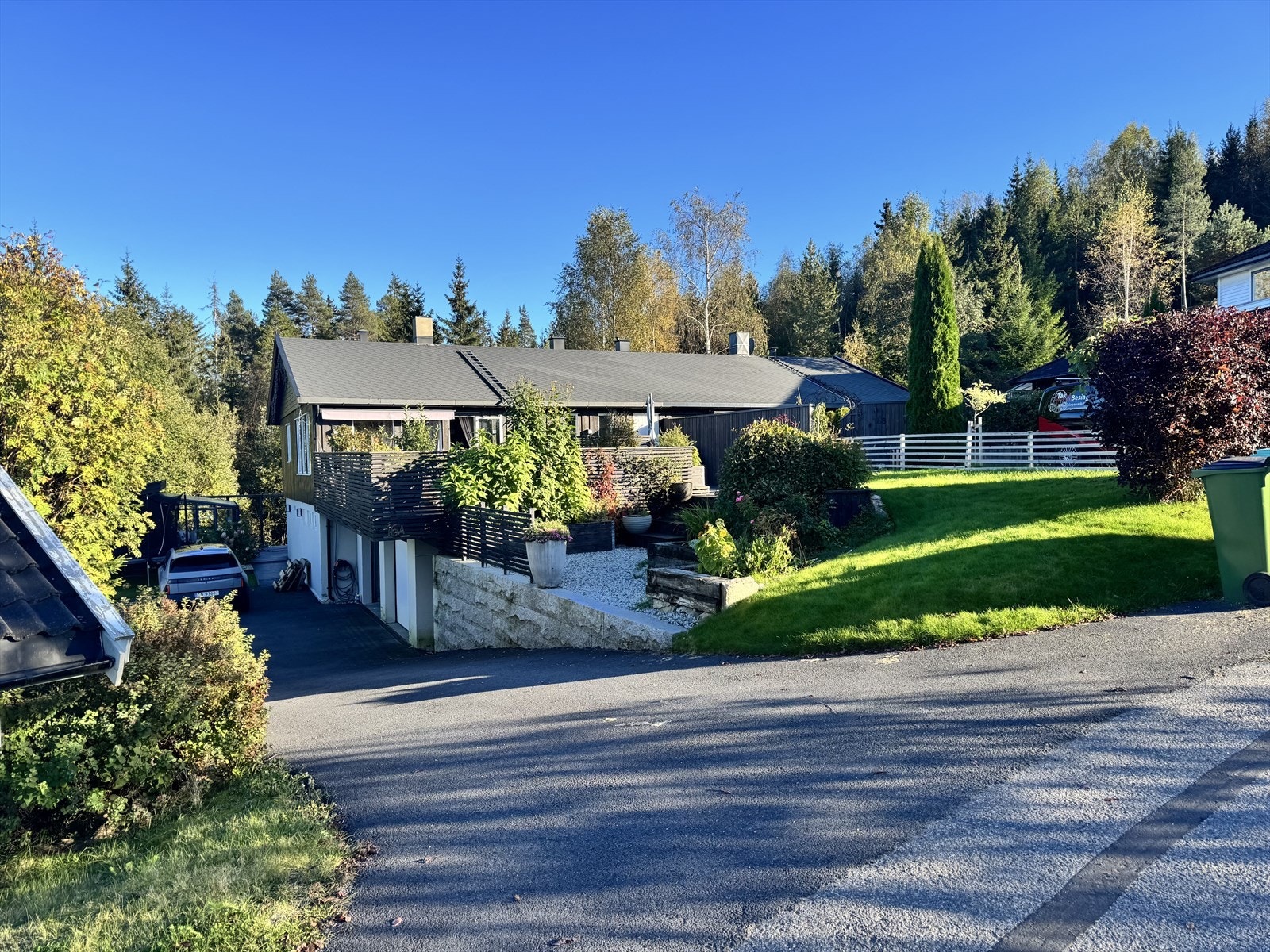 Utebilder fra sommeren, tatt av selger. Galleribilde