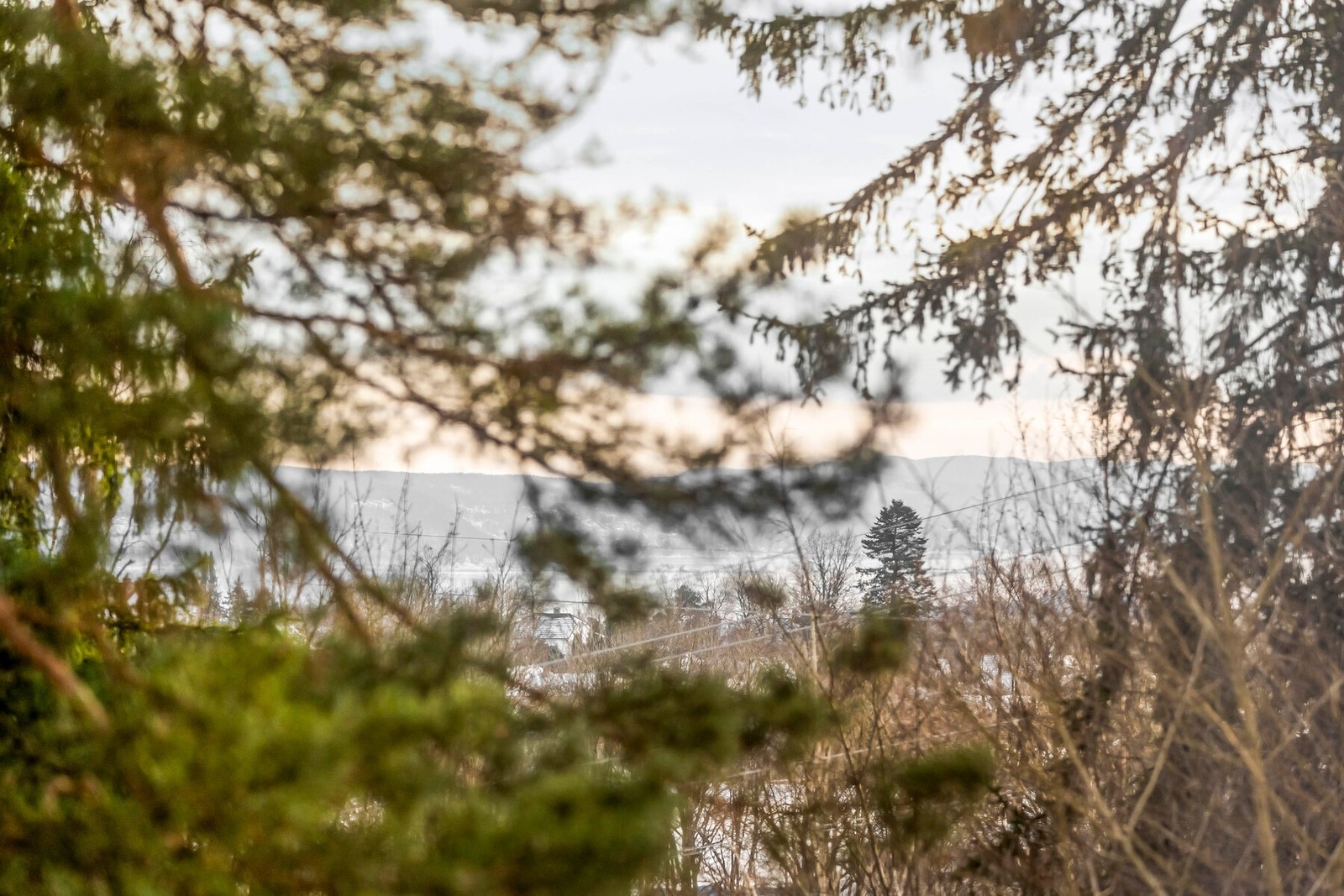 Fra soverommet har du utsikt mot fjorden Galleribilde