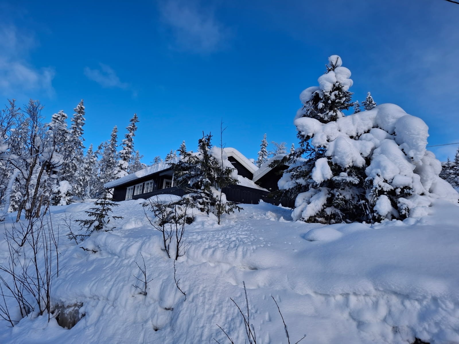 Muligheter for langrenn, fjellturer og toppturer rett fra hytta. Galleribilde