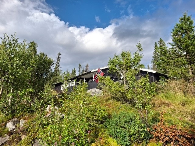 Attraktiv beliggenhet ca. 850 moh, perfekt for friluftsliv året rundt. Galleribilde