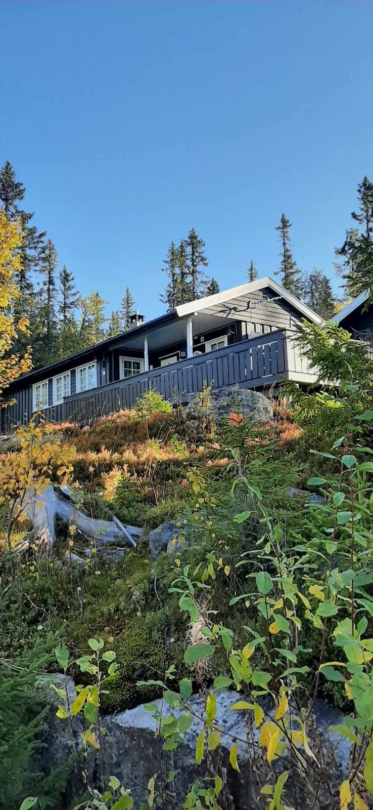 Familievennlig område med helårsvei og trygge omgivelser. Galleribilde