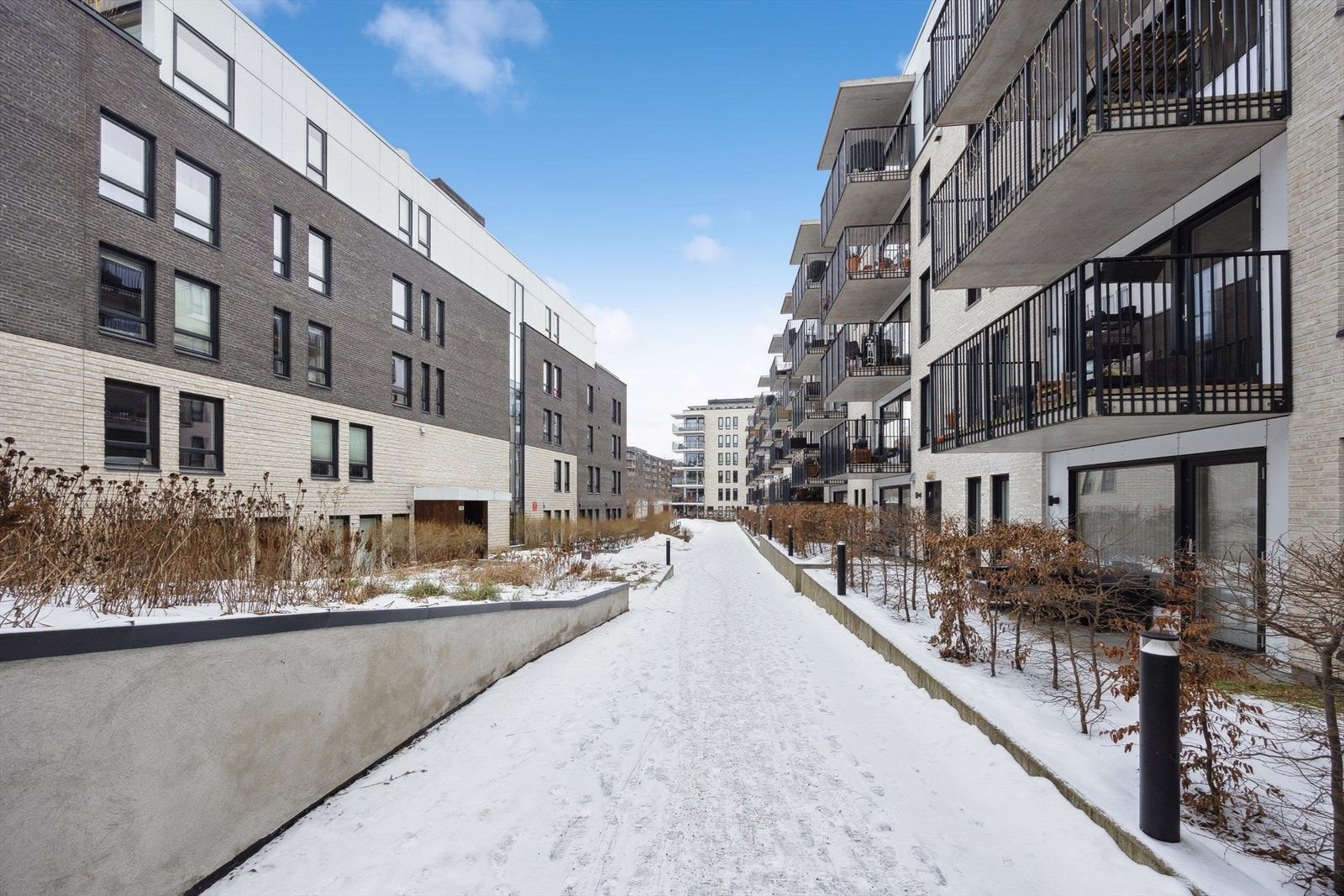 Pent opparbeidede fellesarealer med prydbusker, beplantning, velholdte plenområder og stikkveier med belegningsstein frem til inngangene. Galleribilde