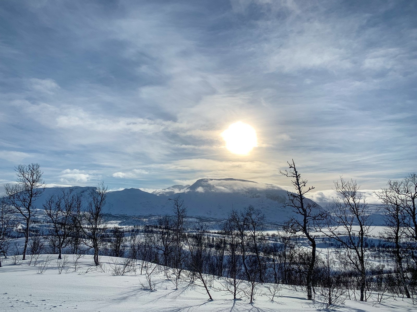 En flott vinterdag! (selgers private bilder) Galleribilde