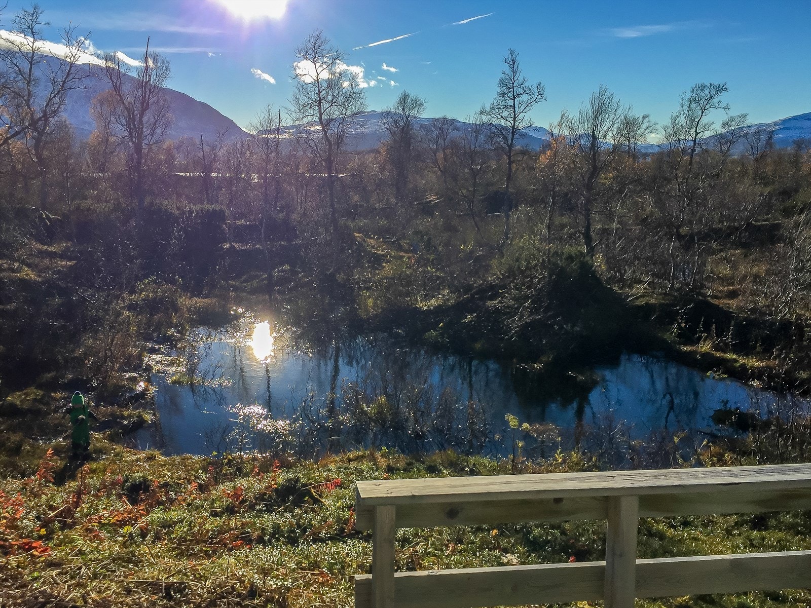 Selgers egne bilder. Galleribilde