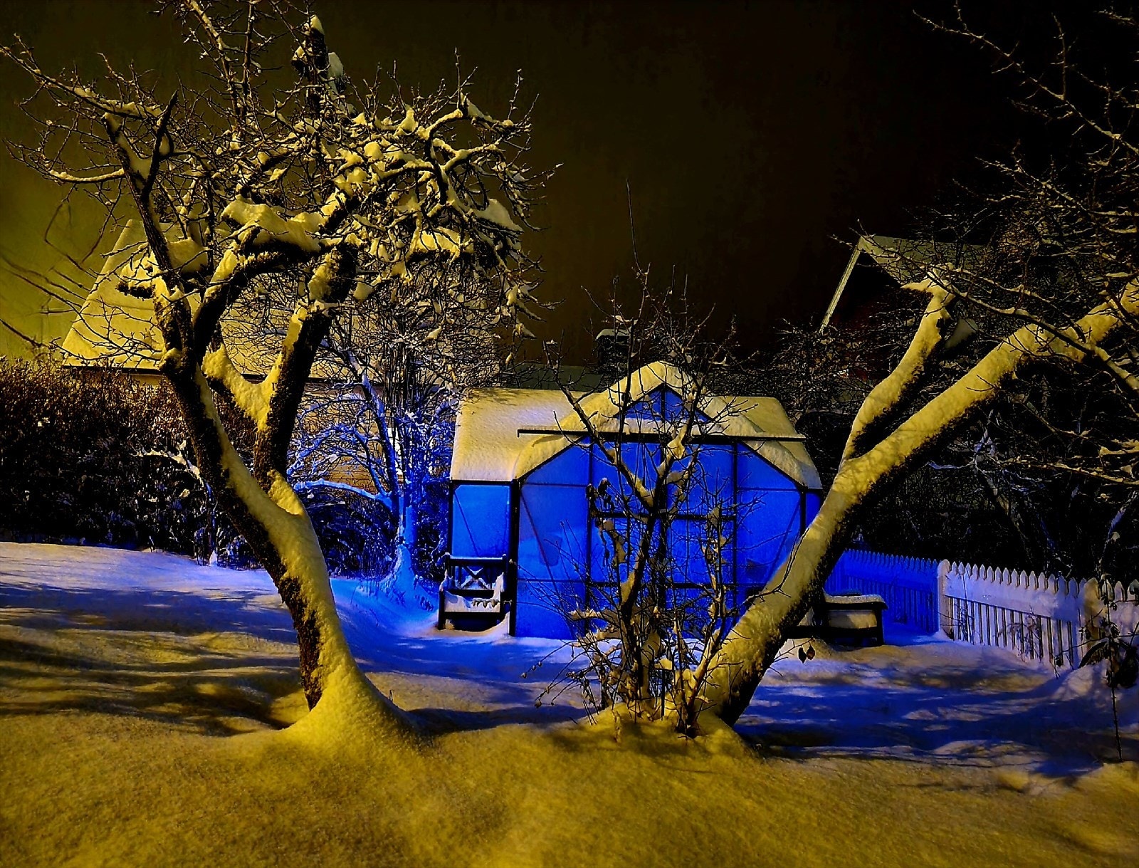 Privat bilde Galleribilde