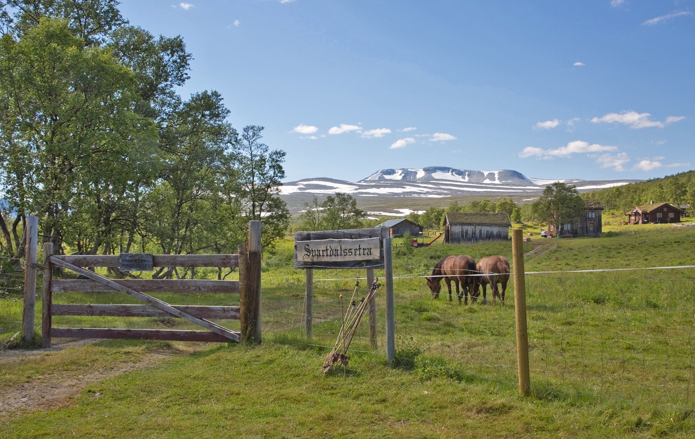 Svartdalssætra ligger kun 3 km fra hytta, og er en enkel turdestinasjon for hele familien. (Tatt av Harald Egil Folden) Galleribilde