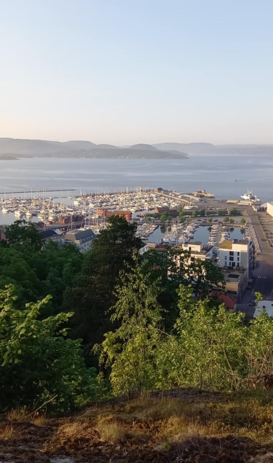 Selgers bilde Galleribilde