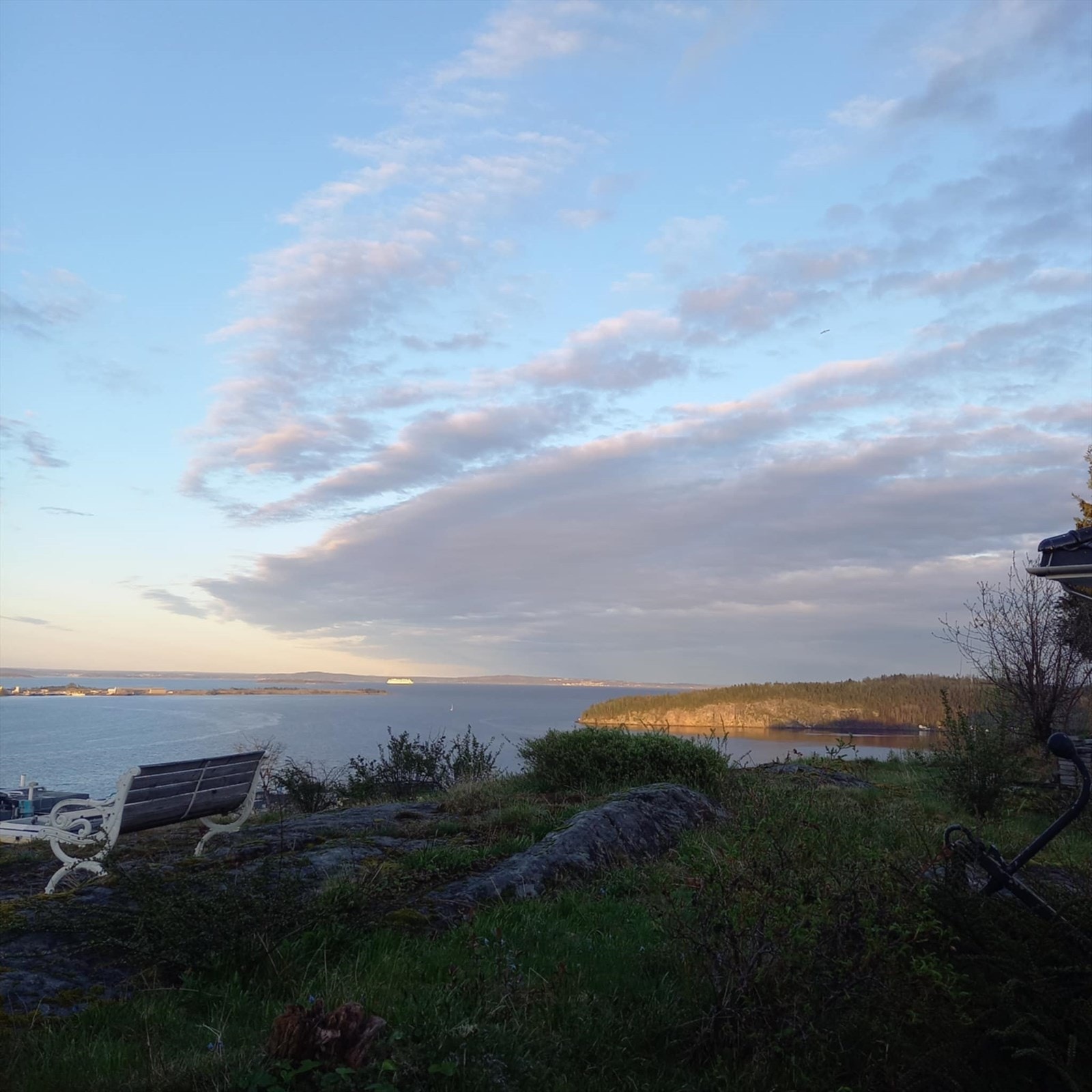 Selgers bilde Galleribilde