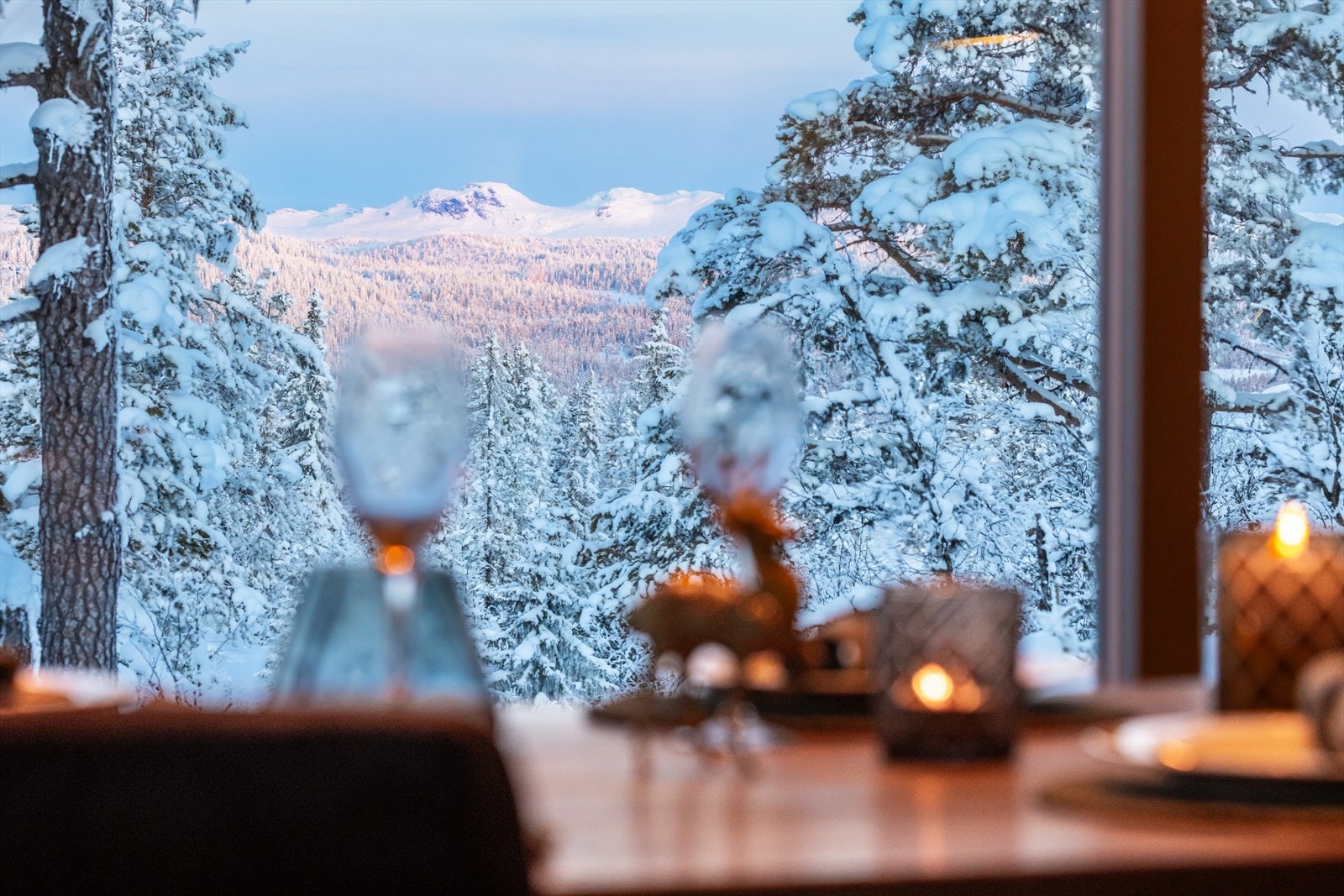 Nystekte vafler med blåbær i perfekt kombinasjon med utsikten til Blåbergi! Nydelig kveldssol Galleribilde