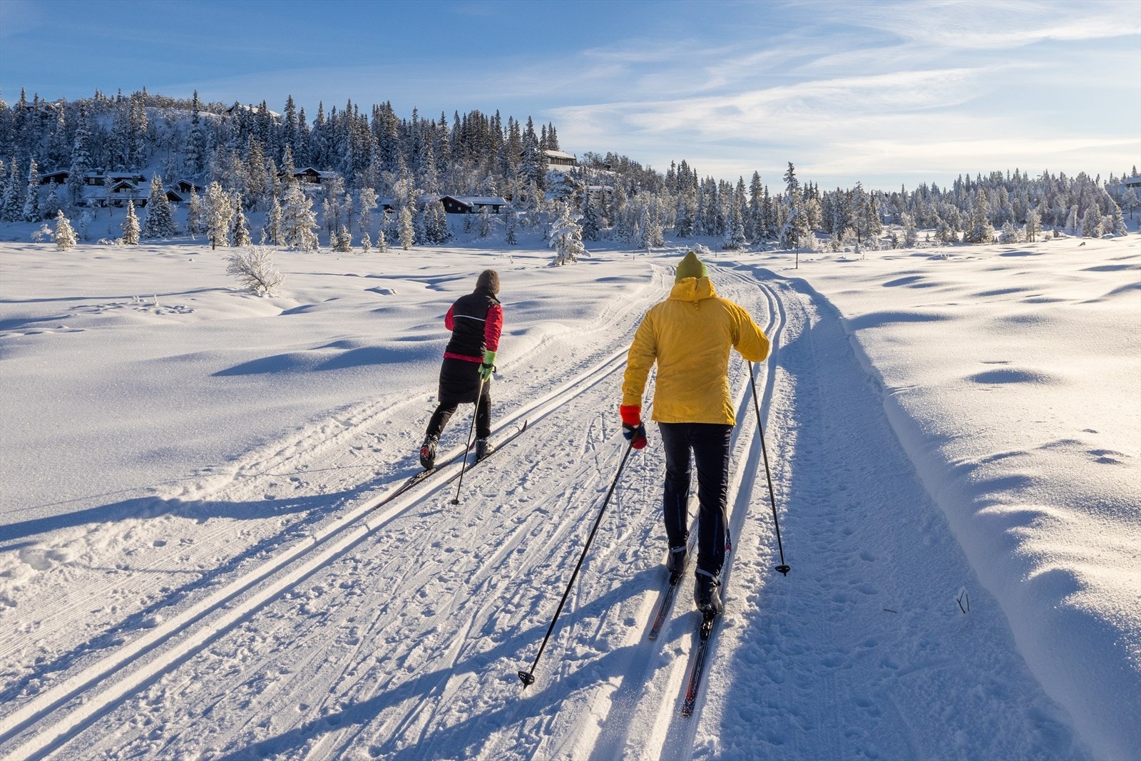 Skiløypa går rett på nedsiden av hytta! Galleribilde