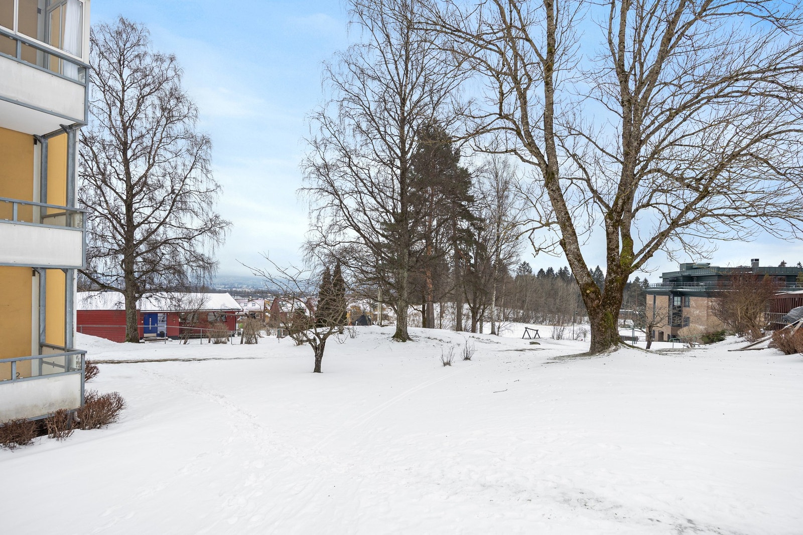 Det er tillatt å holde hund eller katt. Galleribilde