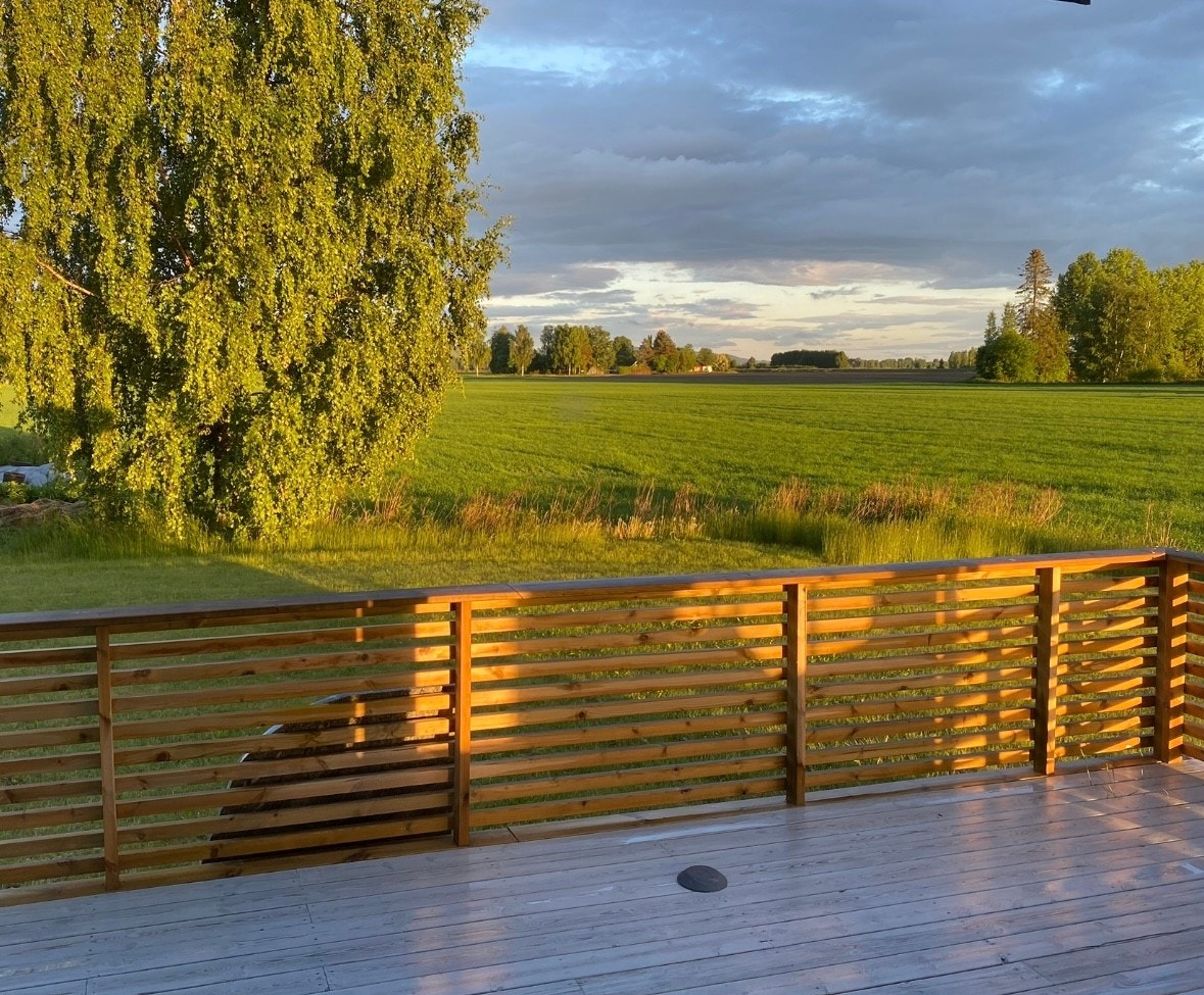 Selgers bilde. Galleribilde