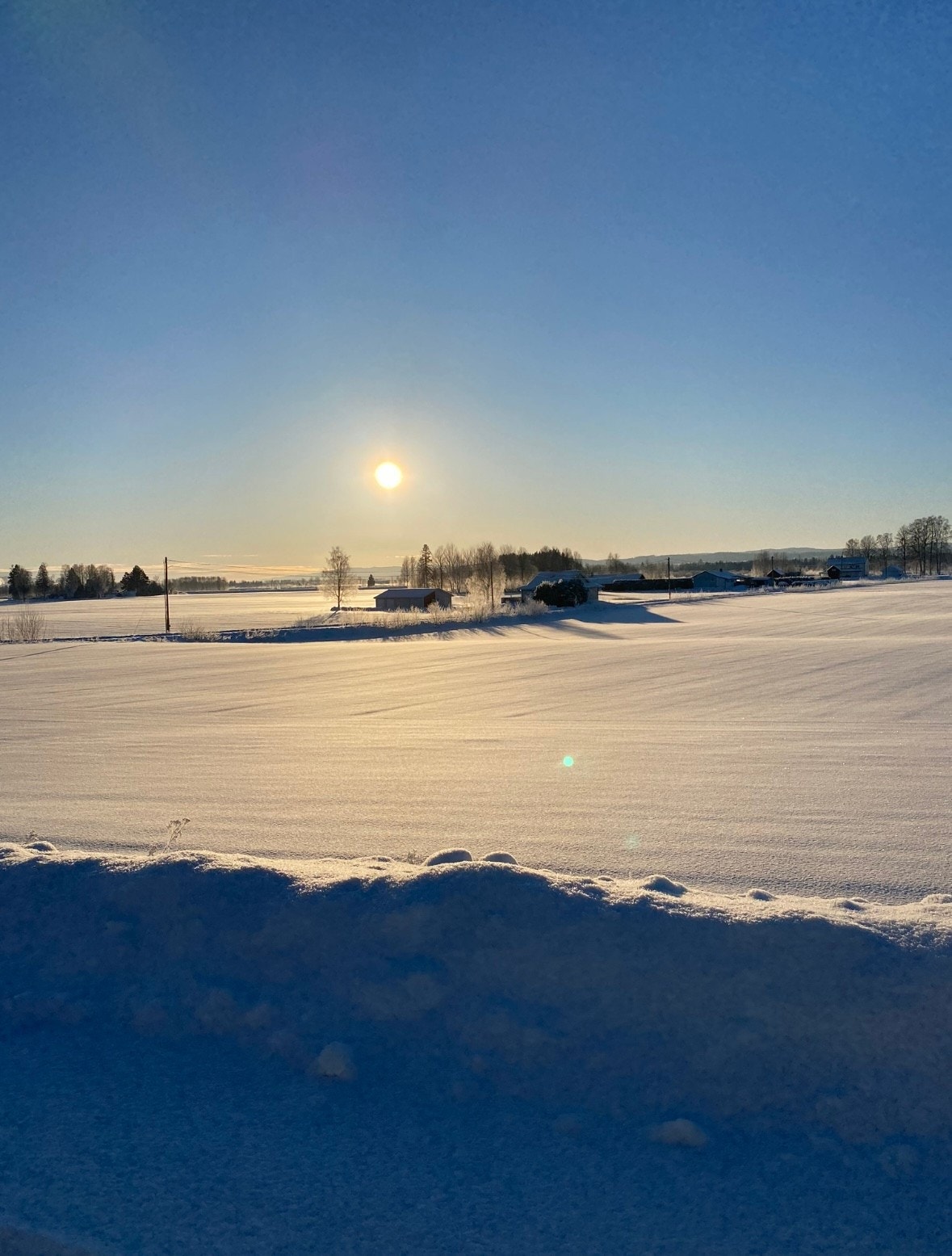 Selgers bilde. Galleribilde