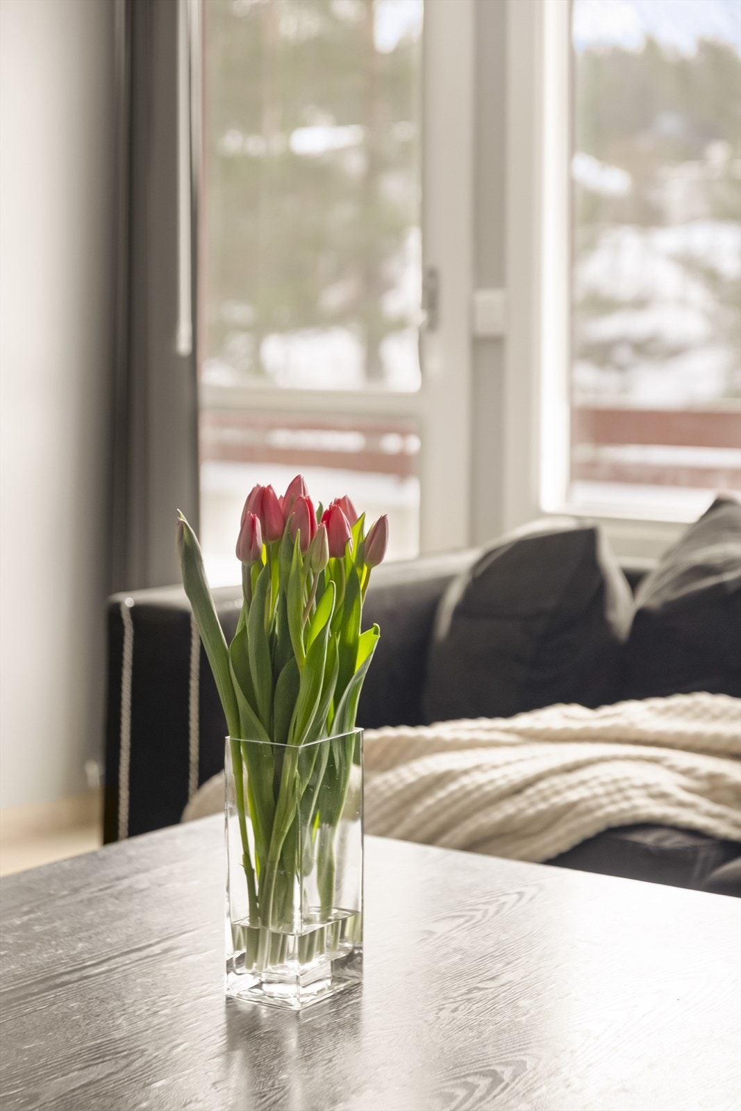 Vinduer med 3-lags isolerglass fra 2014. Galleribilde