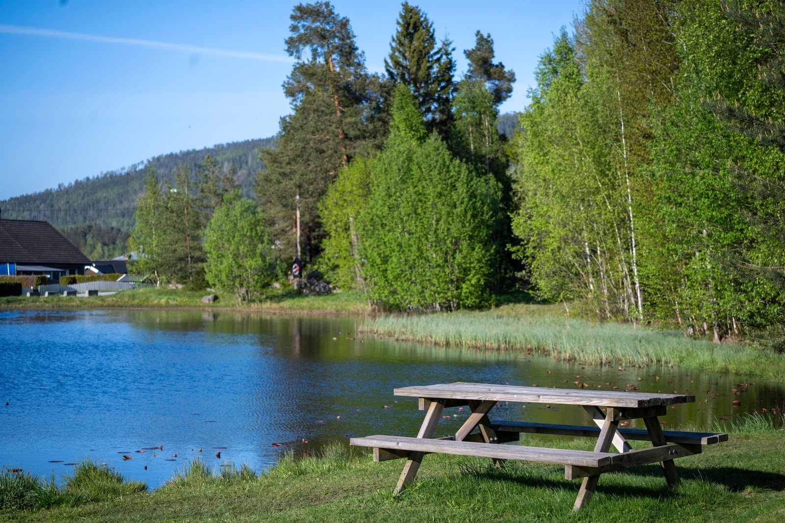 Vinterstid brukes dammen ofte som skøytebane. Galleribilde