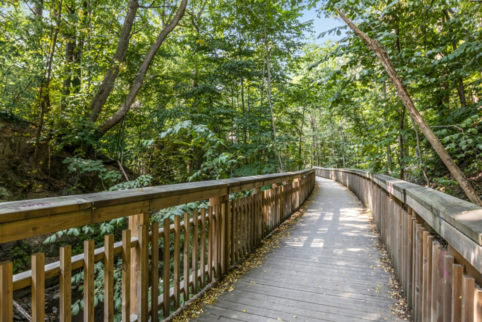 Fine turmuligheter i området med umiddelbar nærhet til Lysakerelvens naturstier. Galleribilde