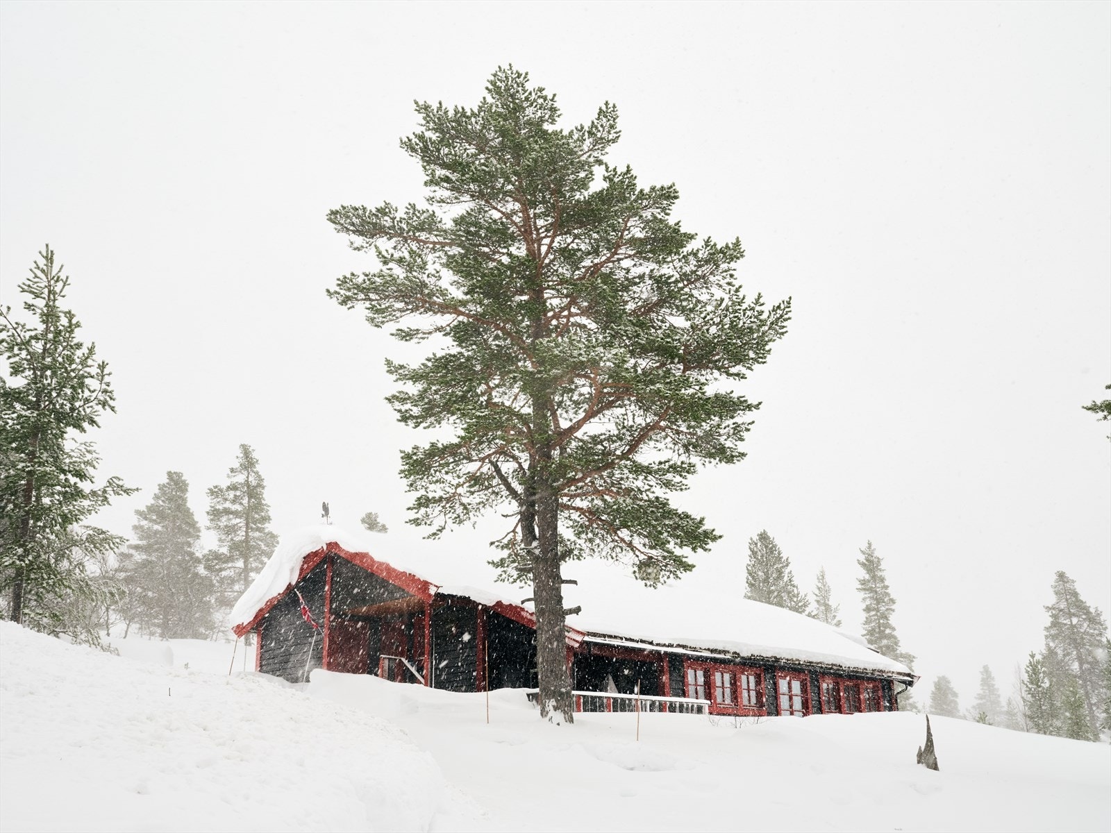 Kort vei til skiløyper og flott turterreng. Galleribilde