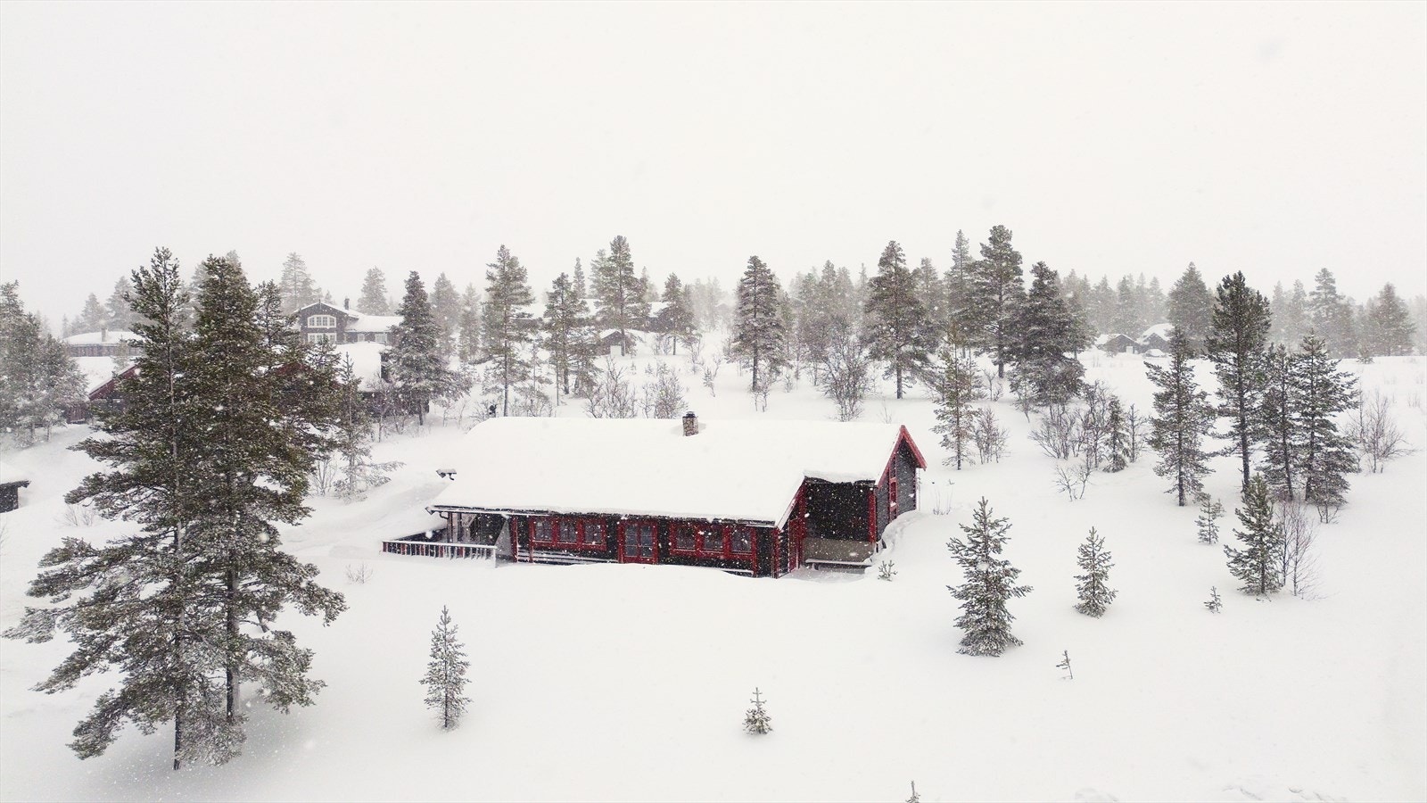 Oversiktsbilde. Galleribilde
