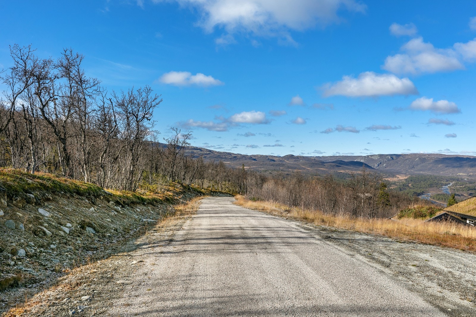 Veiene i området Galleribilde