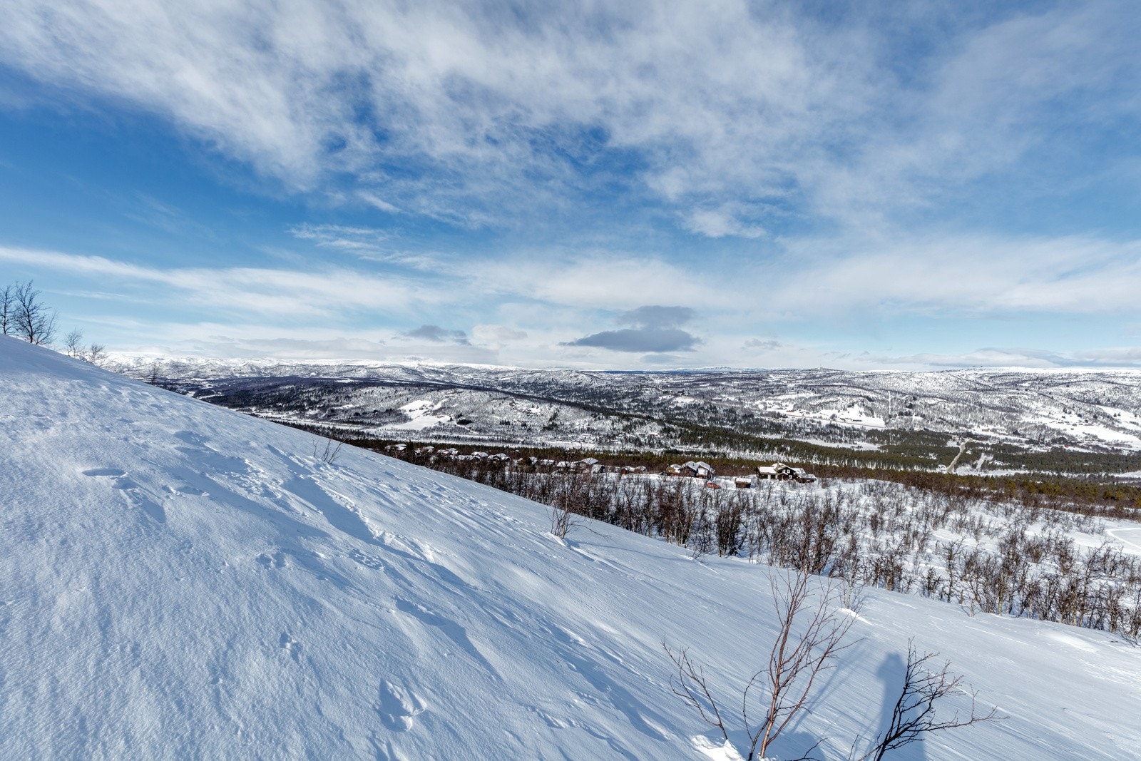 Fra Hallandslie Galleribilde