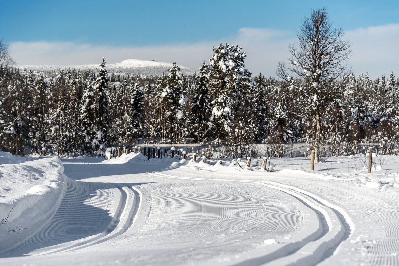 Langrennsløypene er tilknyttet hele løypenettet på Golsfjellet. Galleribilde