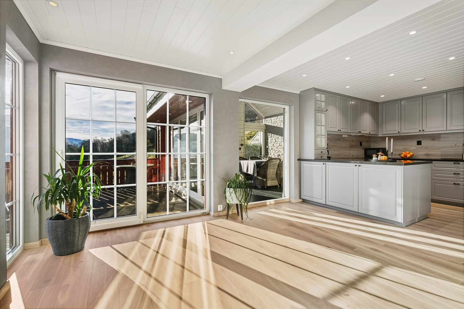 Utgang til terrasse og hagestue Galleribilde