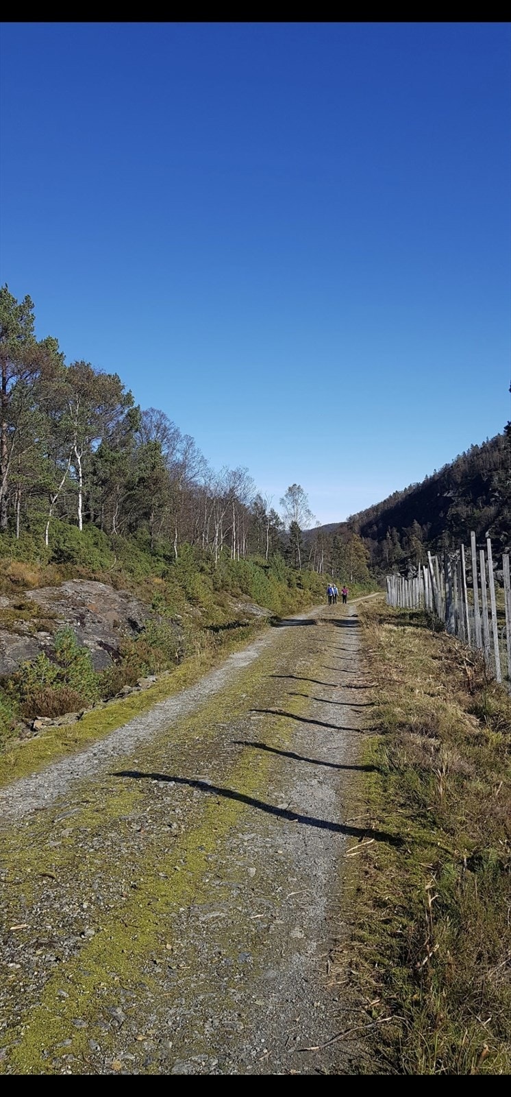 Vakadalen Galleribilde